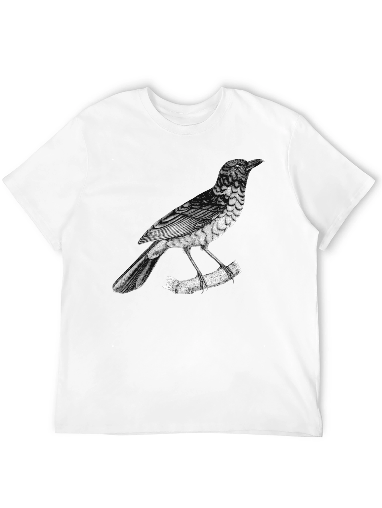 Black Men's Bird Print Black T-Shirt view 12