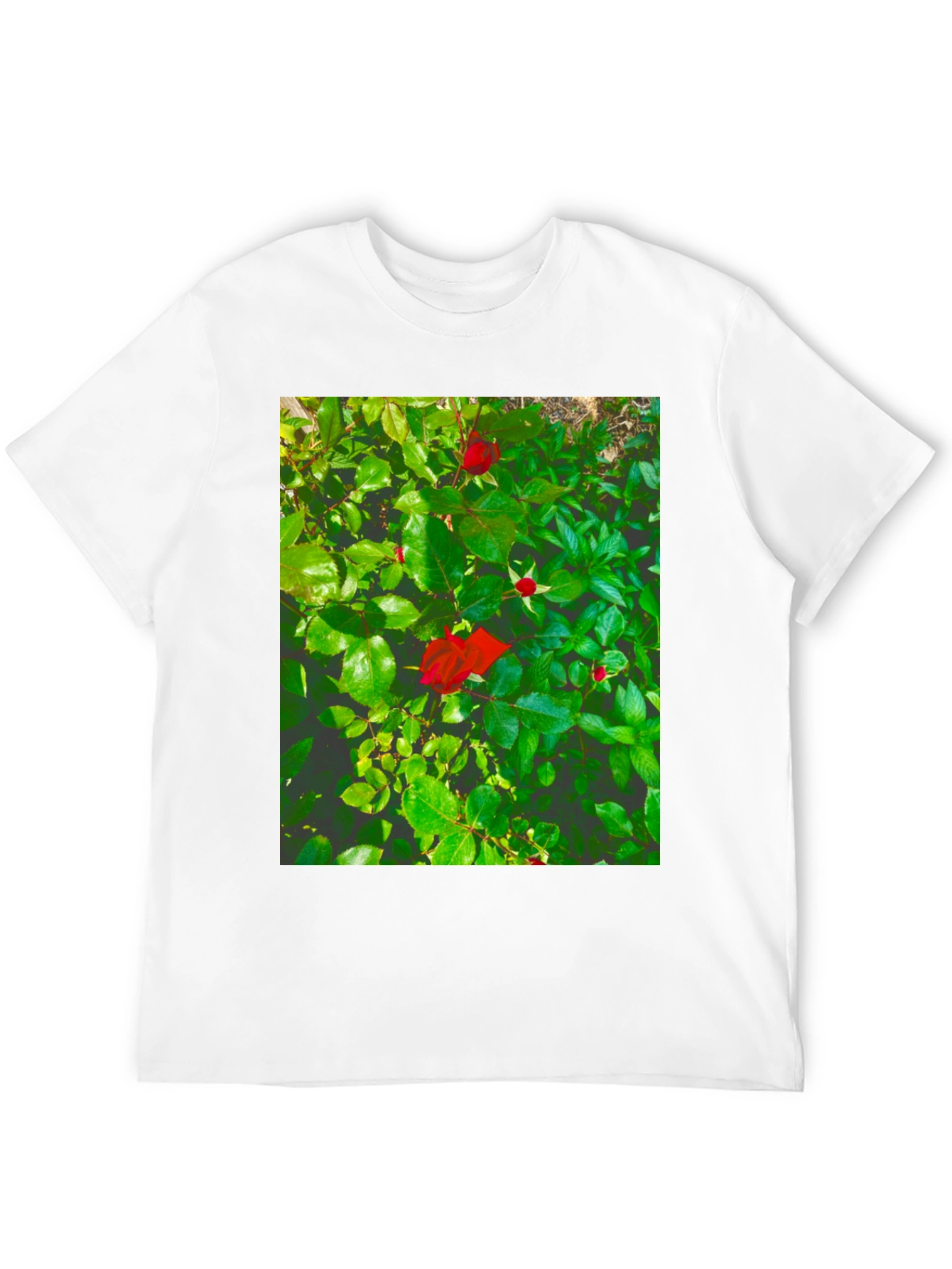 Black Rose Bush Graphic Tee - Nature Inspired Black T-Shirt view 12