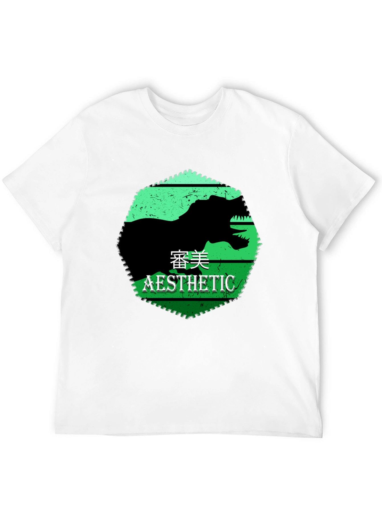 Black Aesthetic Dinosaur Graphic Tee view 12