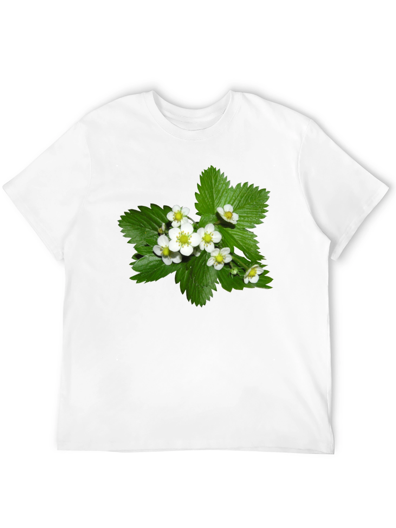 Black Floral Graphic Tee - Black Cotton Blend T-Shirt view 12