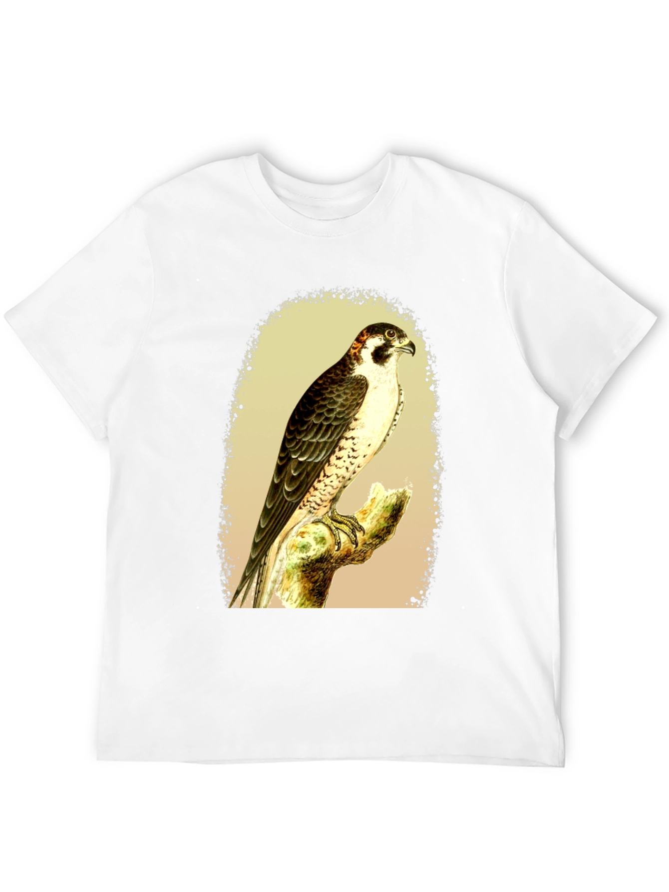 Black Falcon Graphic Tee - Vintage Bird Illustration T-Shirt view 12