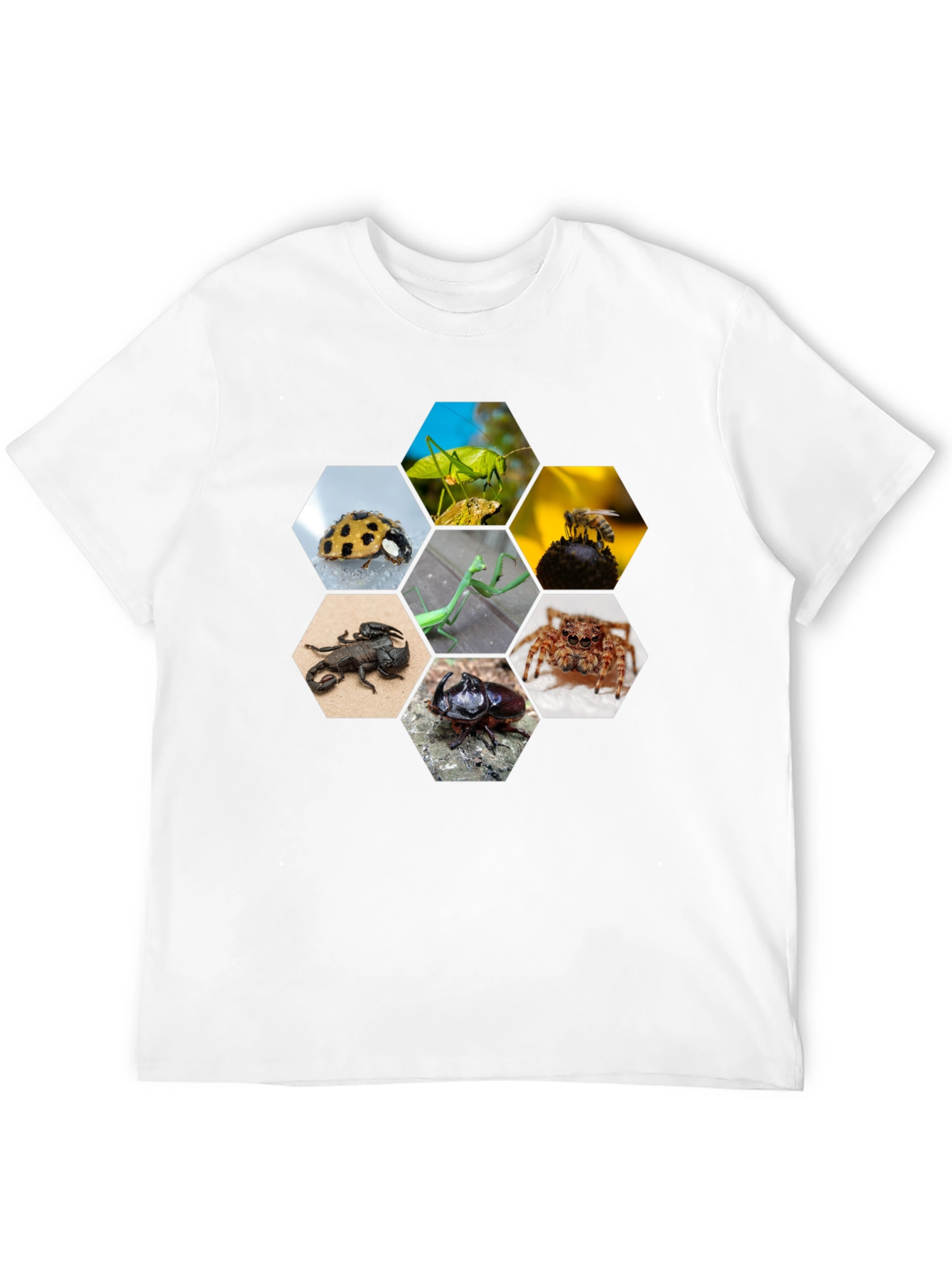 Black Insect Hexagon T-Shirt - Unique Nature Design view 12