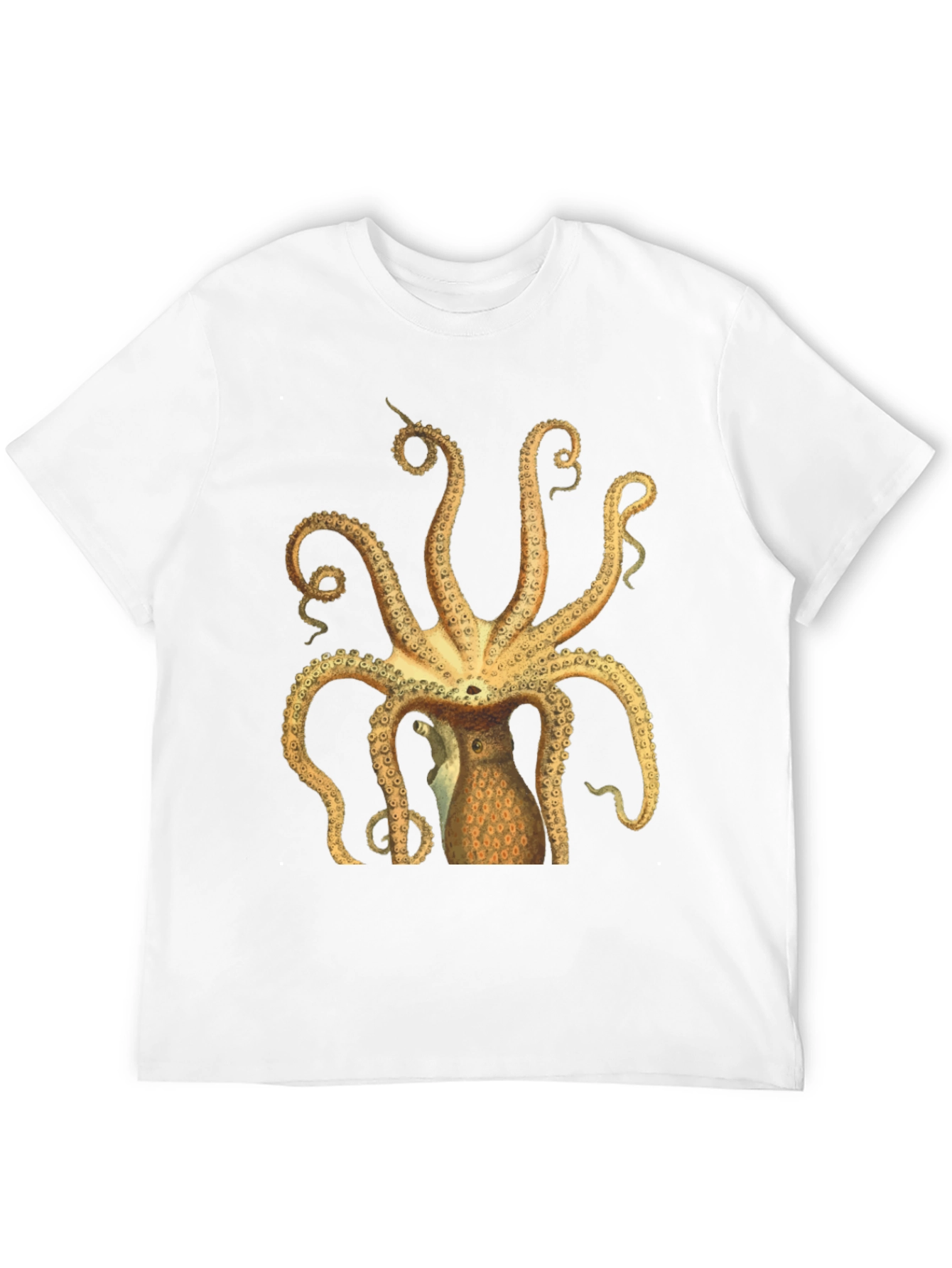 Black Octopus Graphic Tee - Black Cotton T-Shirt view 12