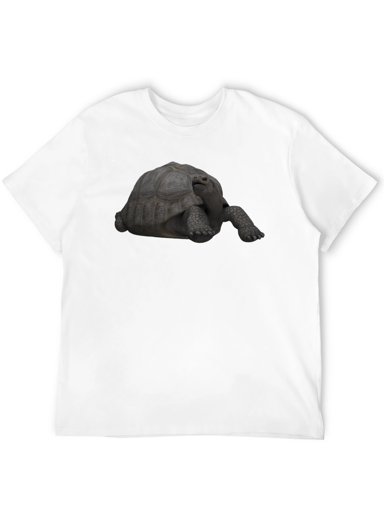 Black Tortoise Graphic Tee - Black Casual T-Shirt view 12