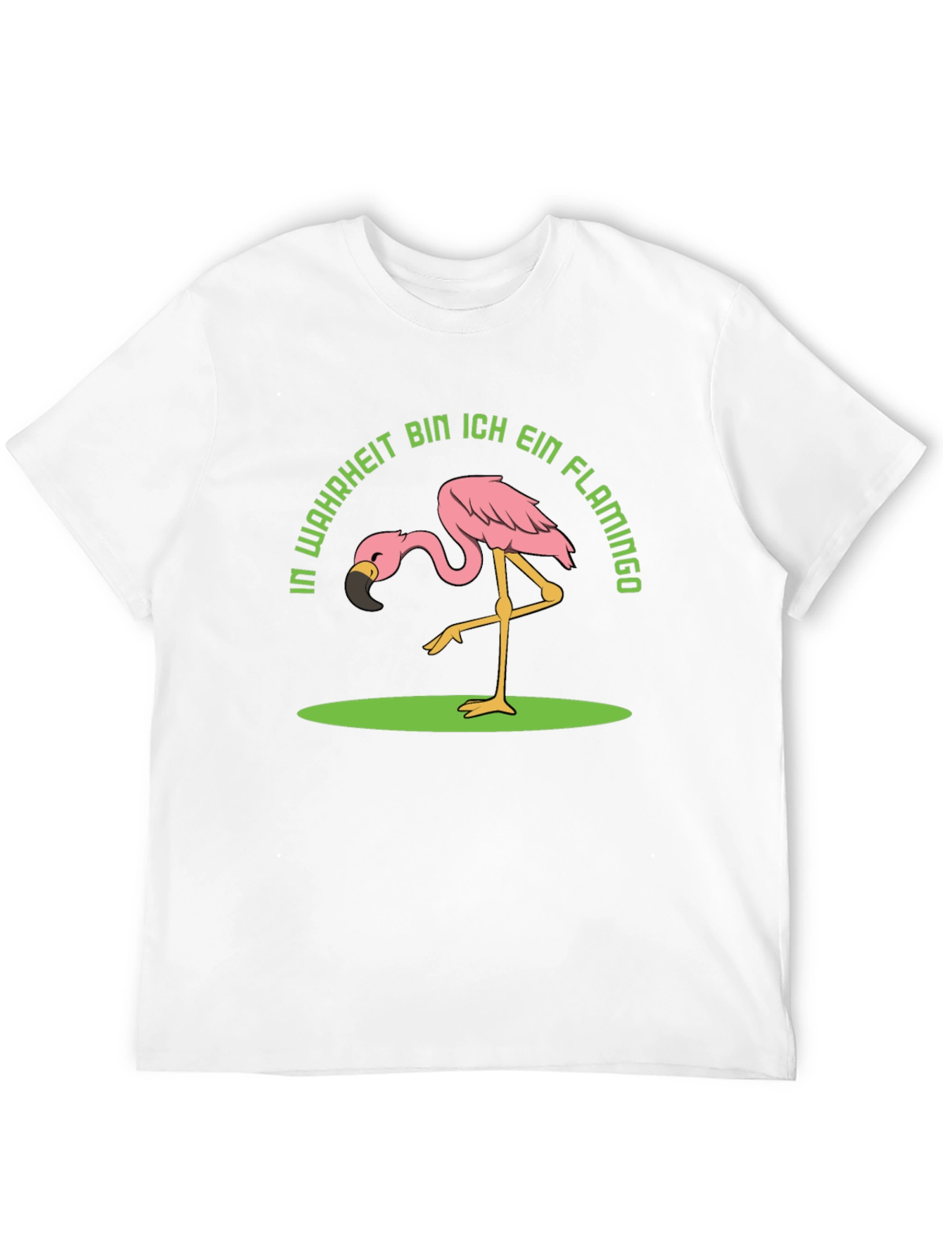 Black Funny Flamingo T-Shirt - In Wahrheit Bin Ich Ein Flamingo view 12