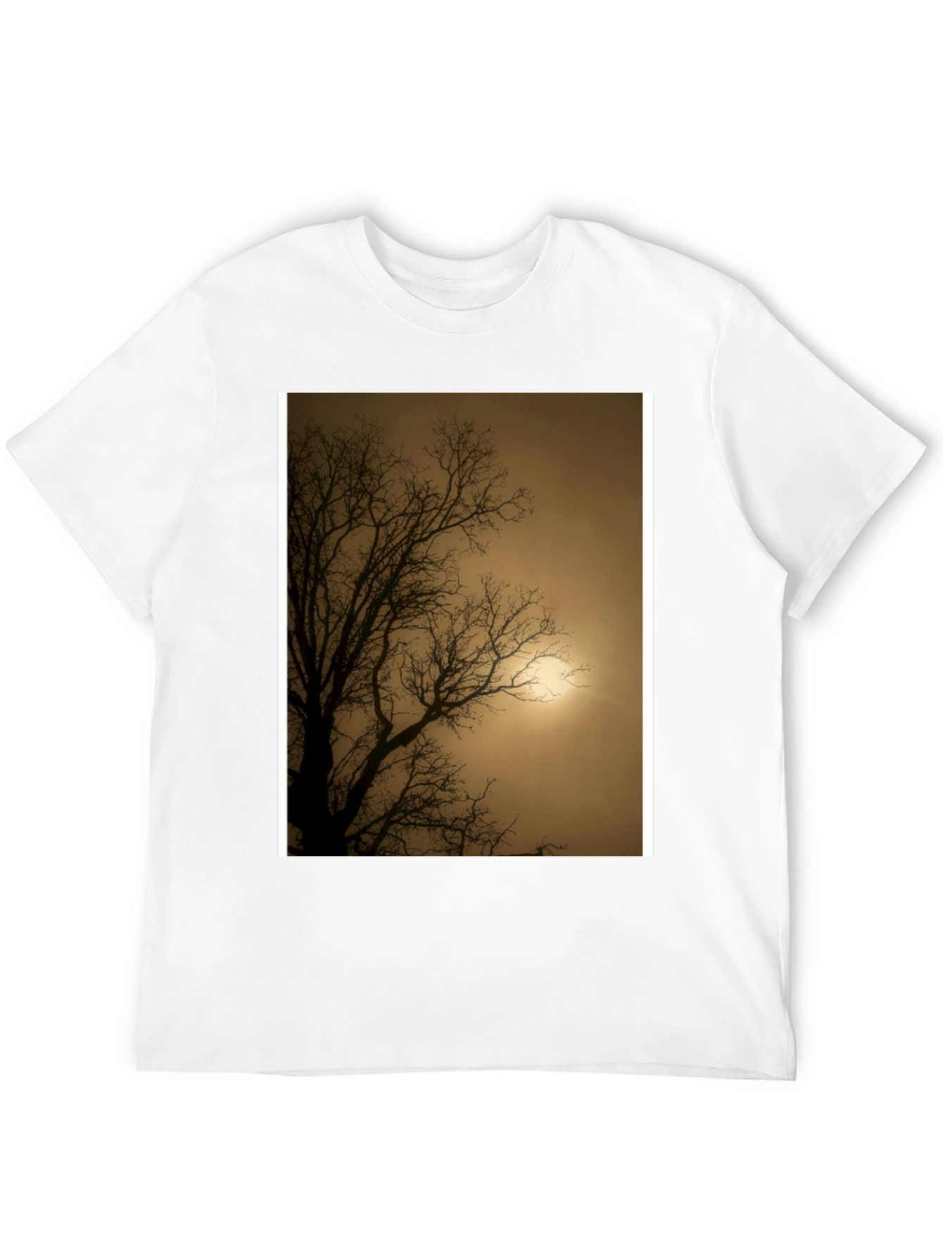 Black Eerie Tree Graphic Tee - Stylish Black Shirt view 12