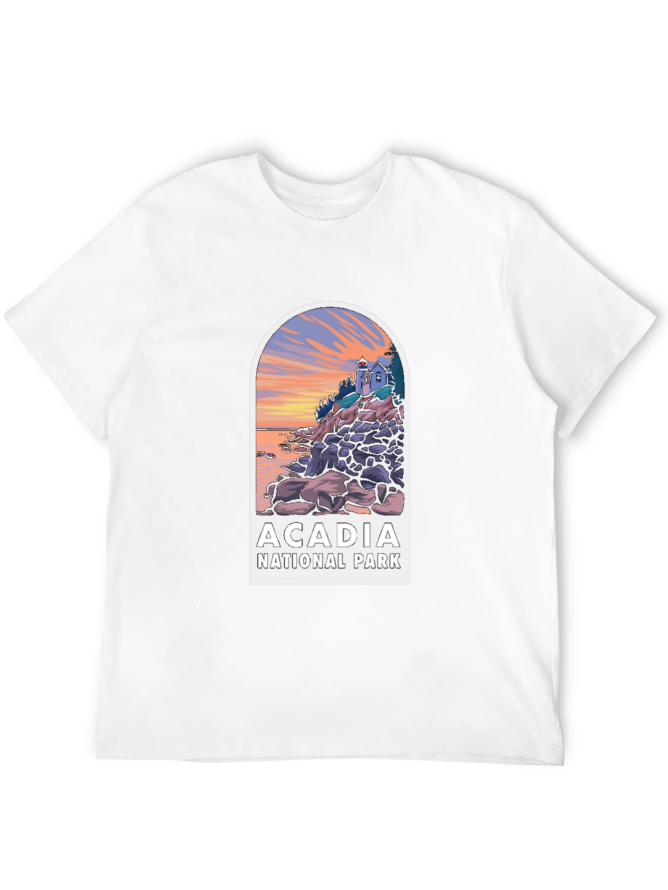 Black Acadia National Park Graphic Tee - Black view 12
