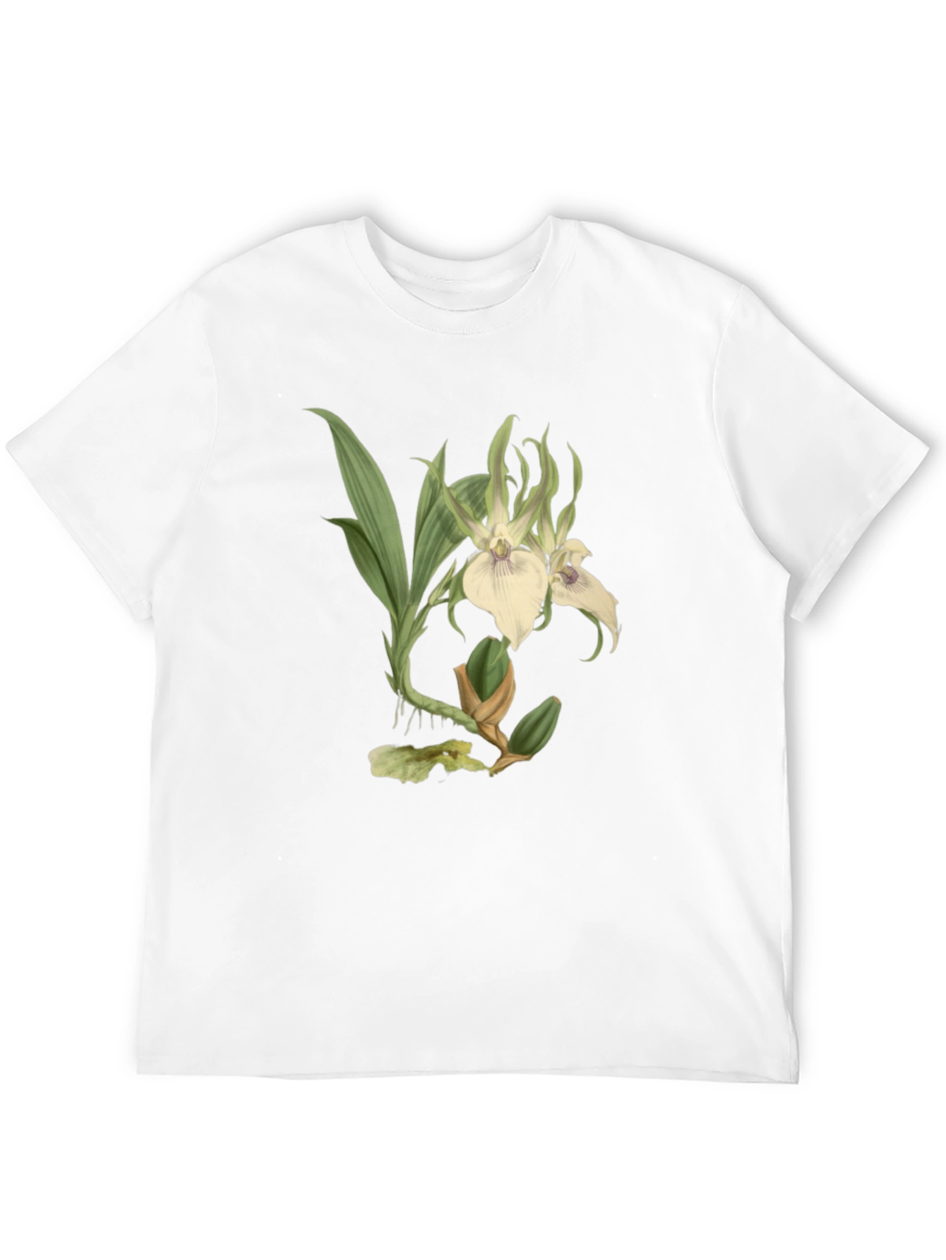 Black Botanical Orchid Graphic Tee - Black Cotton Blend view 12
