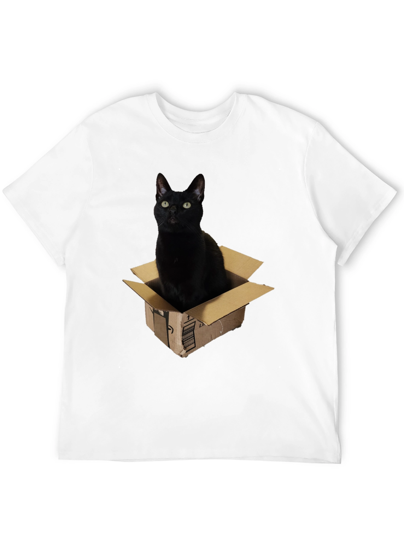 Black Black Cat in Box Graphic T-Shirt view 12
