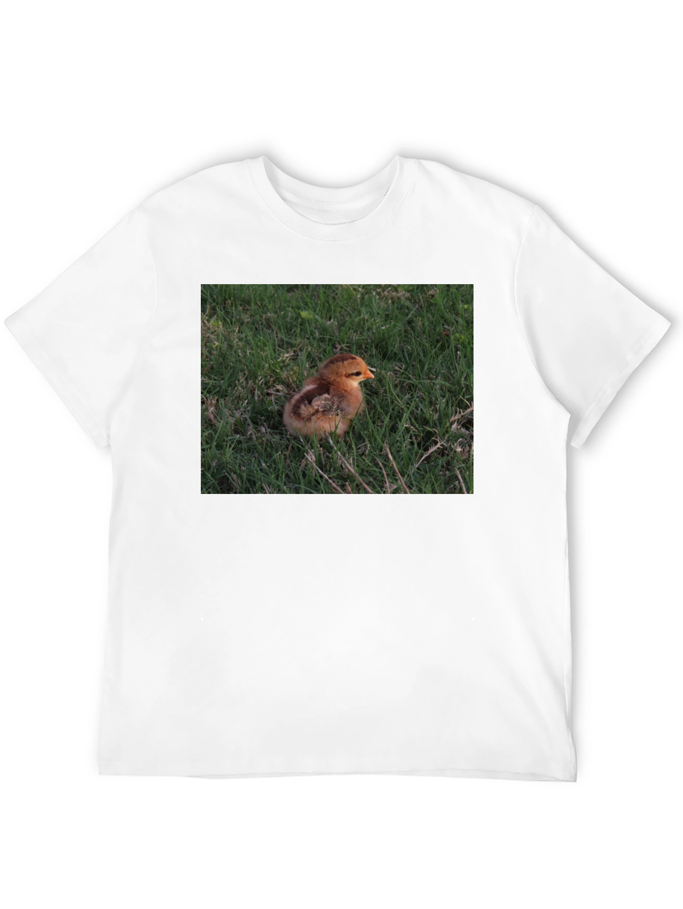Black Cute Chick in Grass Graphic T-Shirt view 12