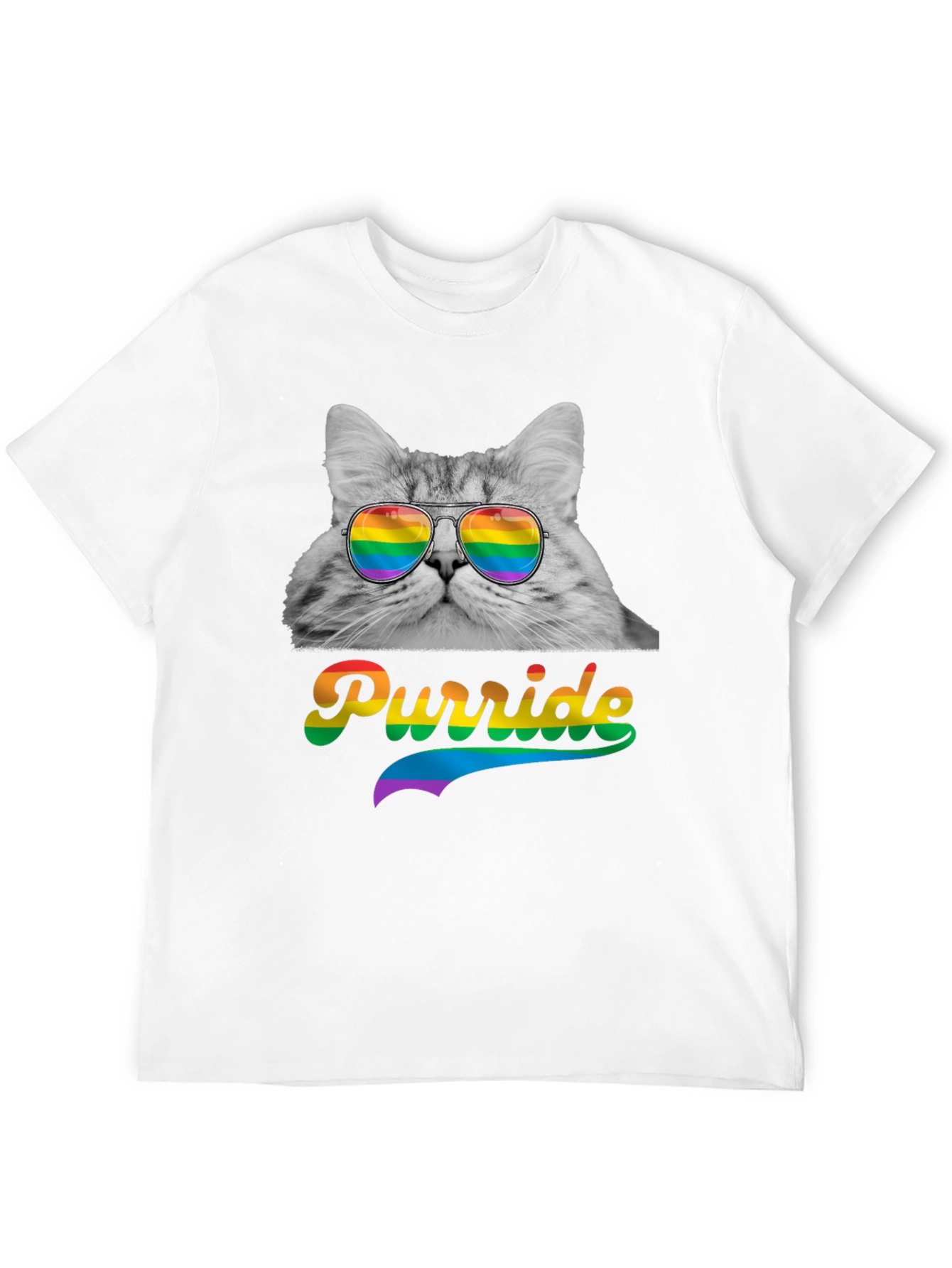 Black Purride Cat T-Shirt LGBT Pride Month view 12