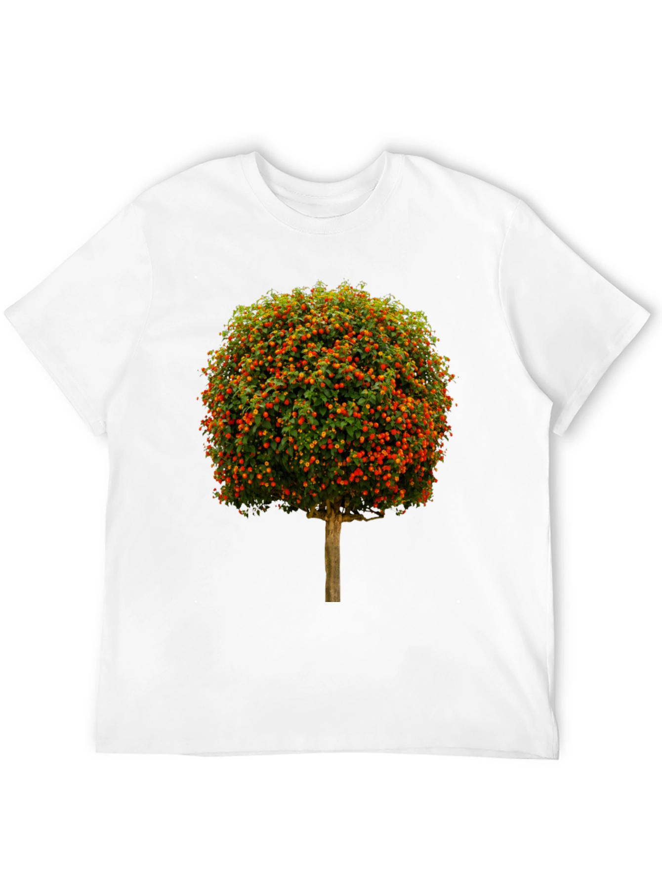 Black Botanical Tree Graphic T-Shirt view 12