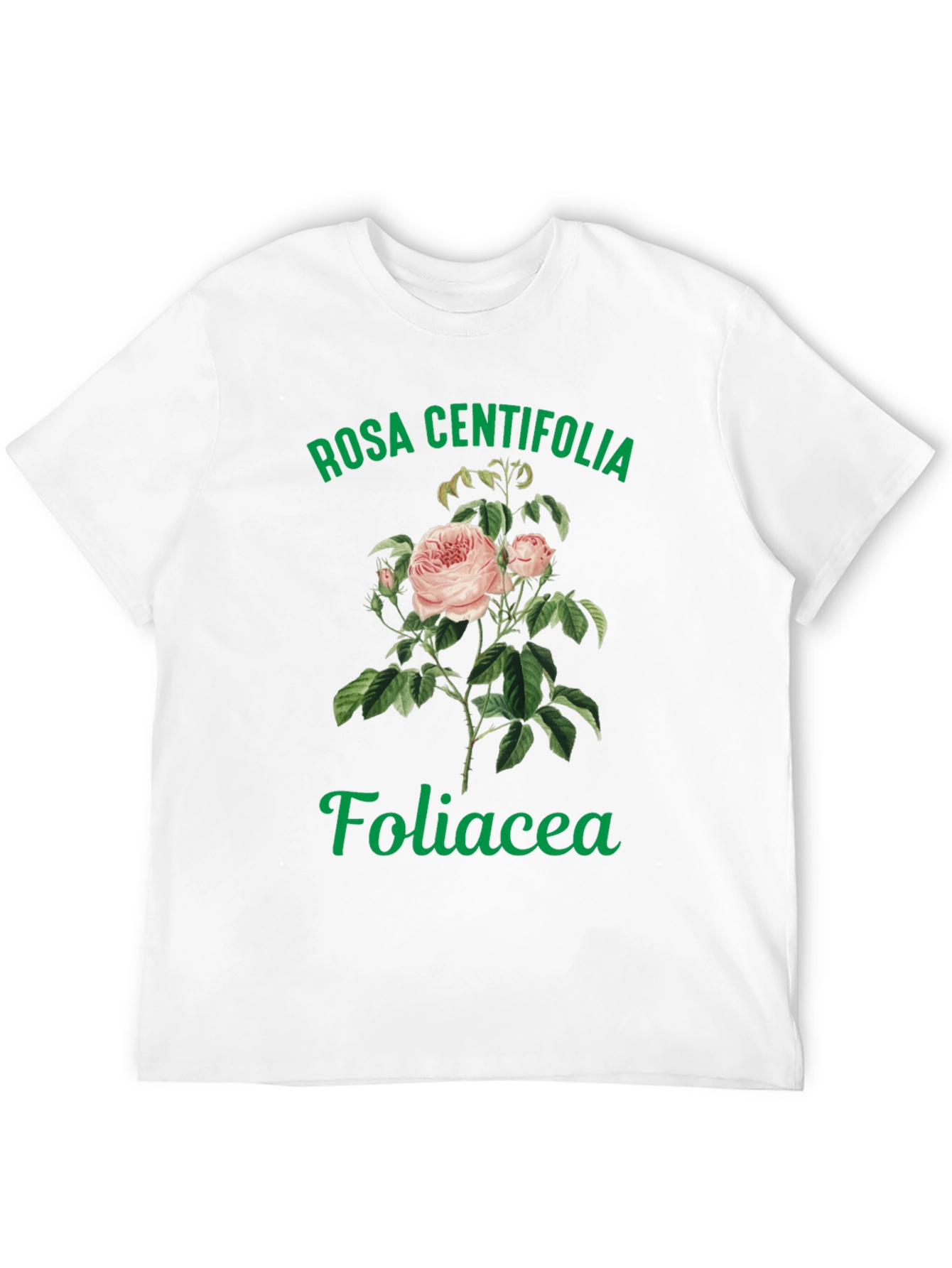 Black Rosa Centifolia Foliacea Graphic Tee view 12