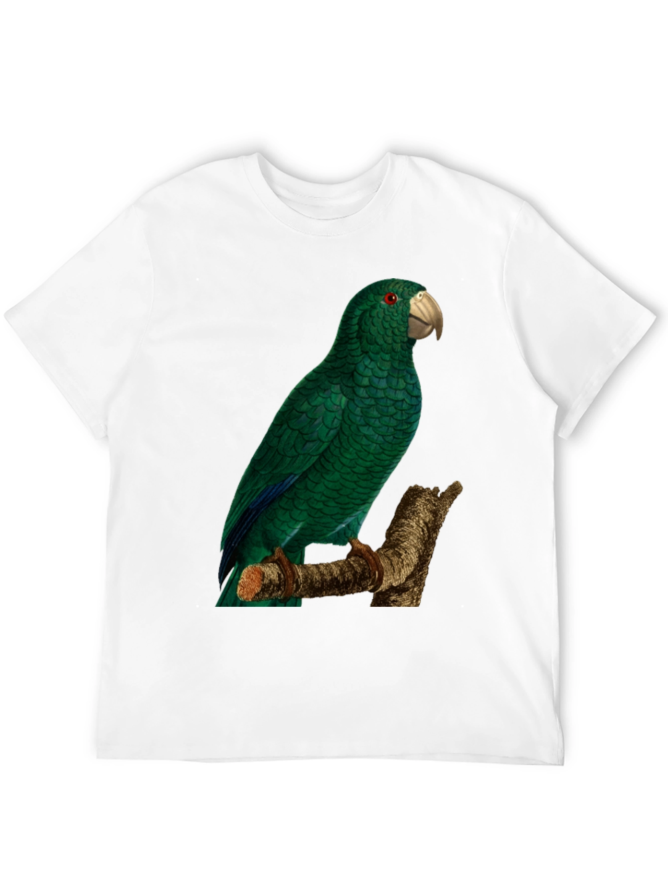Black Green Parrot Graphic Tee - Nature Lover's Apparel view 12