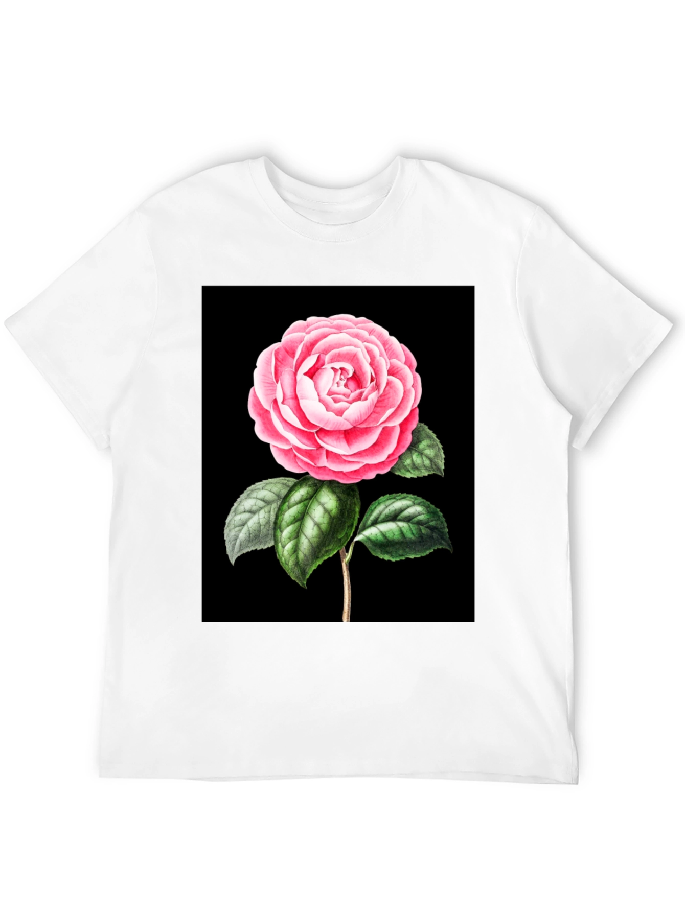 Black Elegant Rose Graphic Tee - Black Cotton Blend view 12