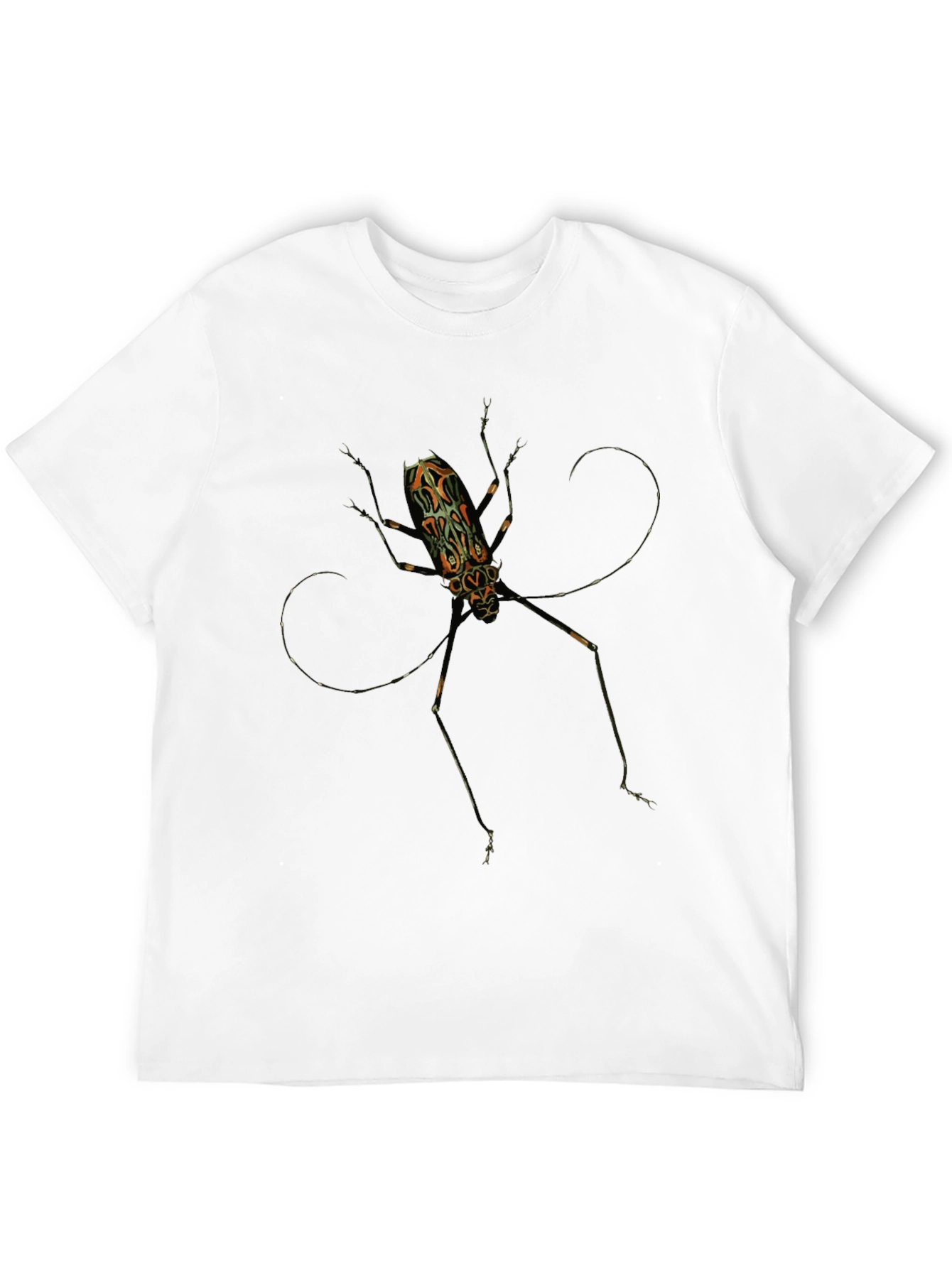 Black Artsy Bug Graphic Tee - Black Cotton T-Shirt view 12