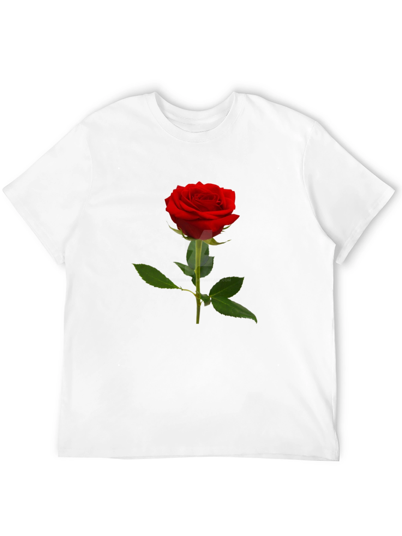 Black Classic Red Rose T-Shirt - Elegant Floral Design view 12