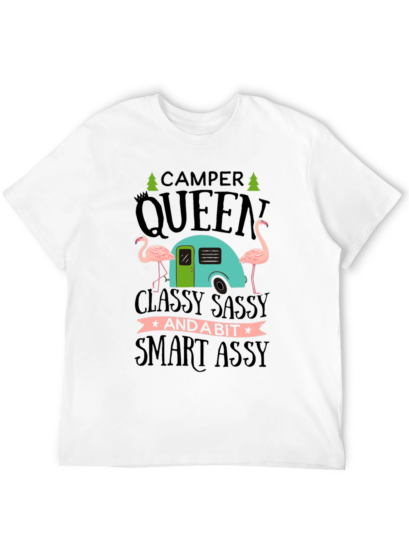 Black Camper Queen Flamingo Graphic T-Shirt view 12