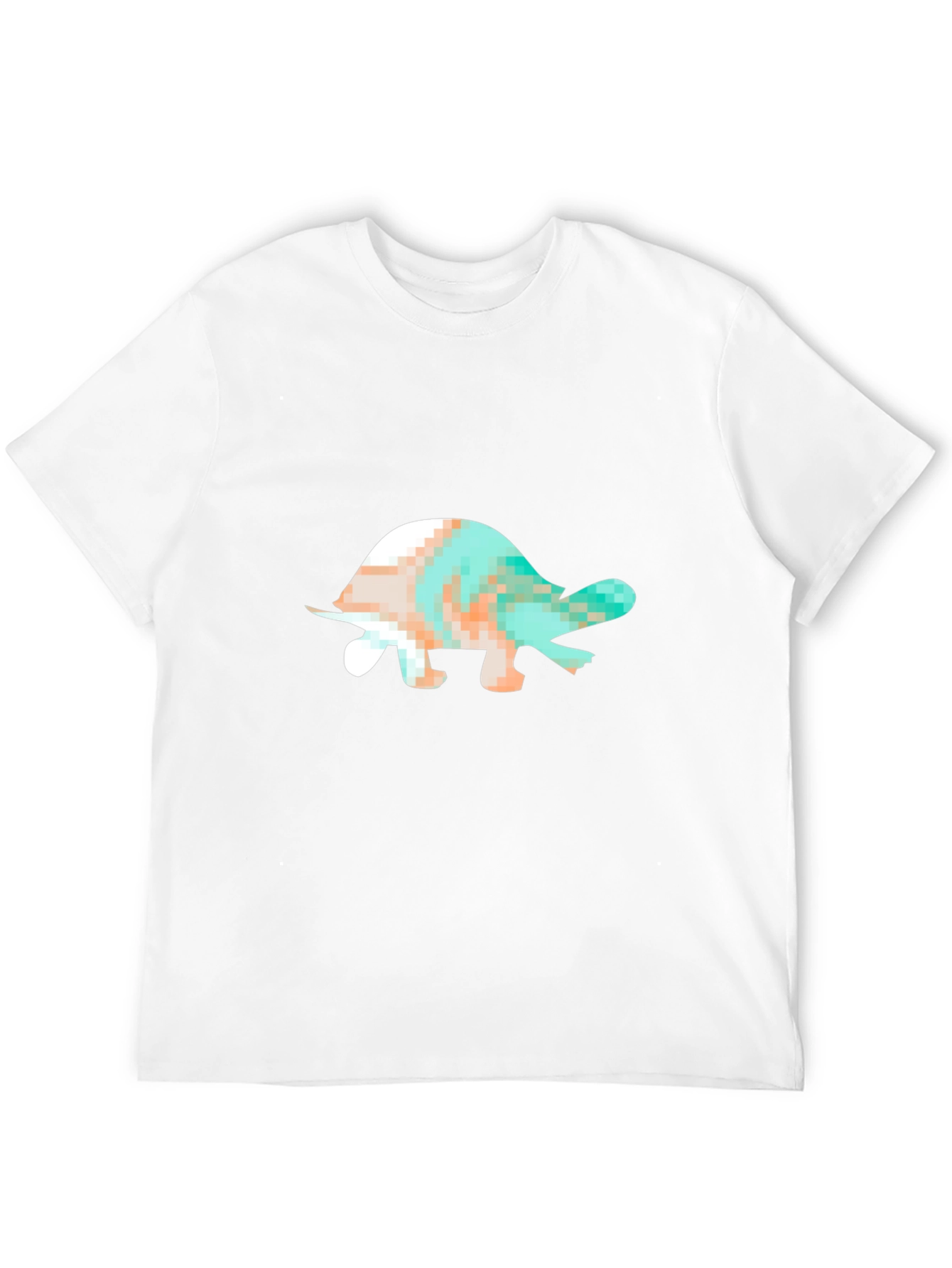 Black Turtle Graphic Black T-Shirt view 12