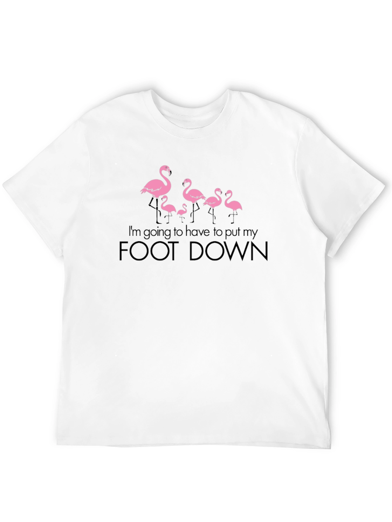 Black Funny Flamingo "Foot Down" Graphic T-Shirt view 12
