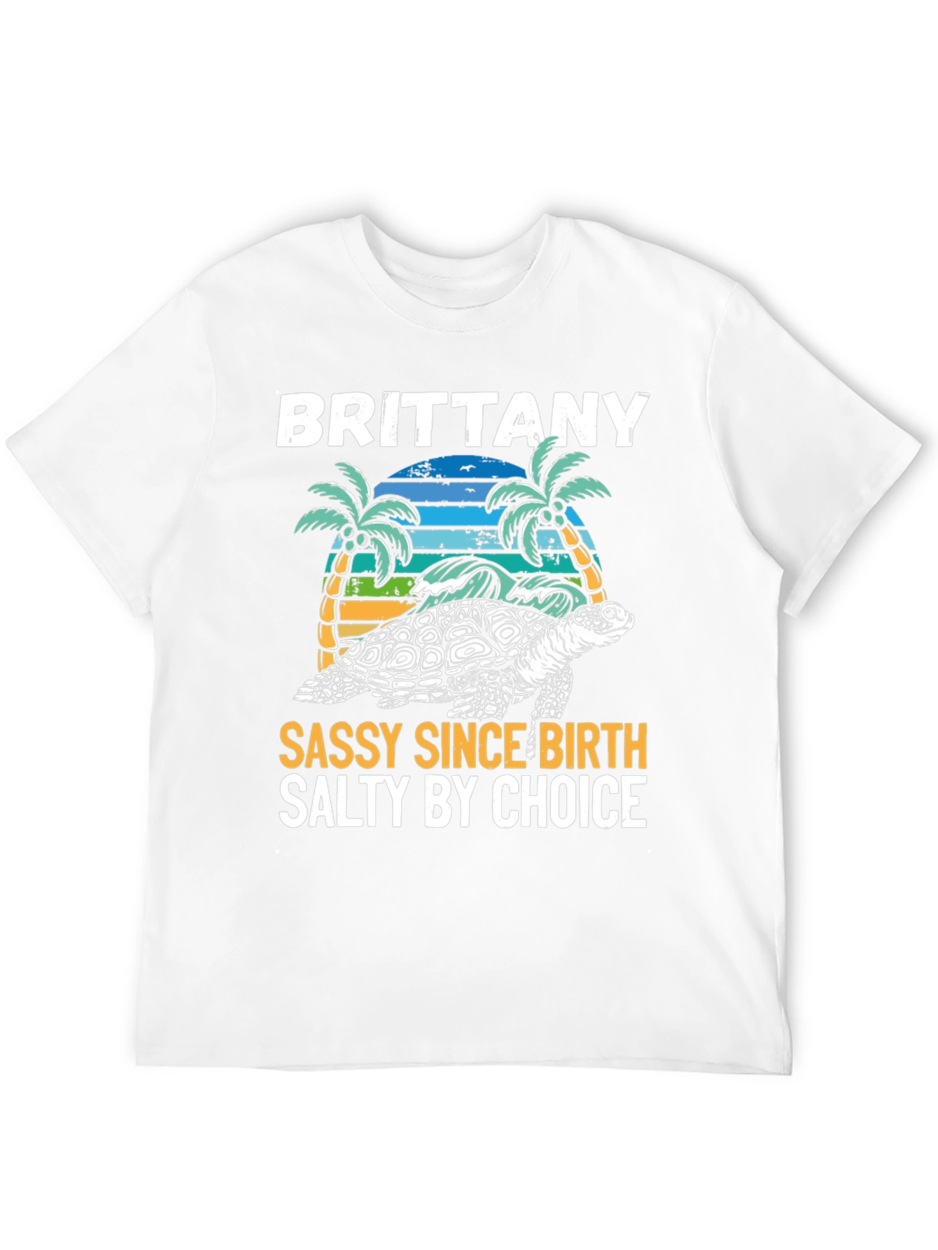 Brittany Turtle Sassy & Salty Graphic Tee - 12