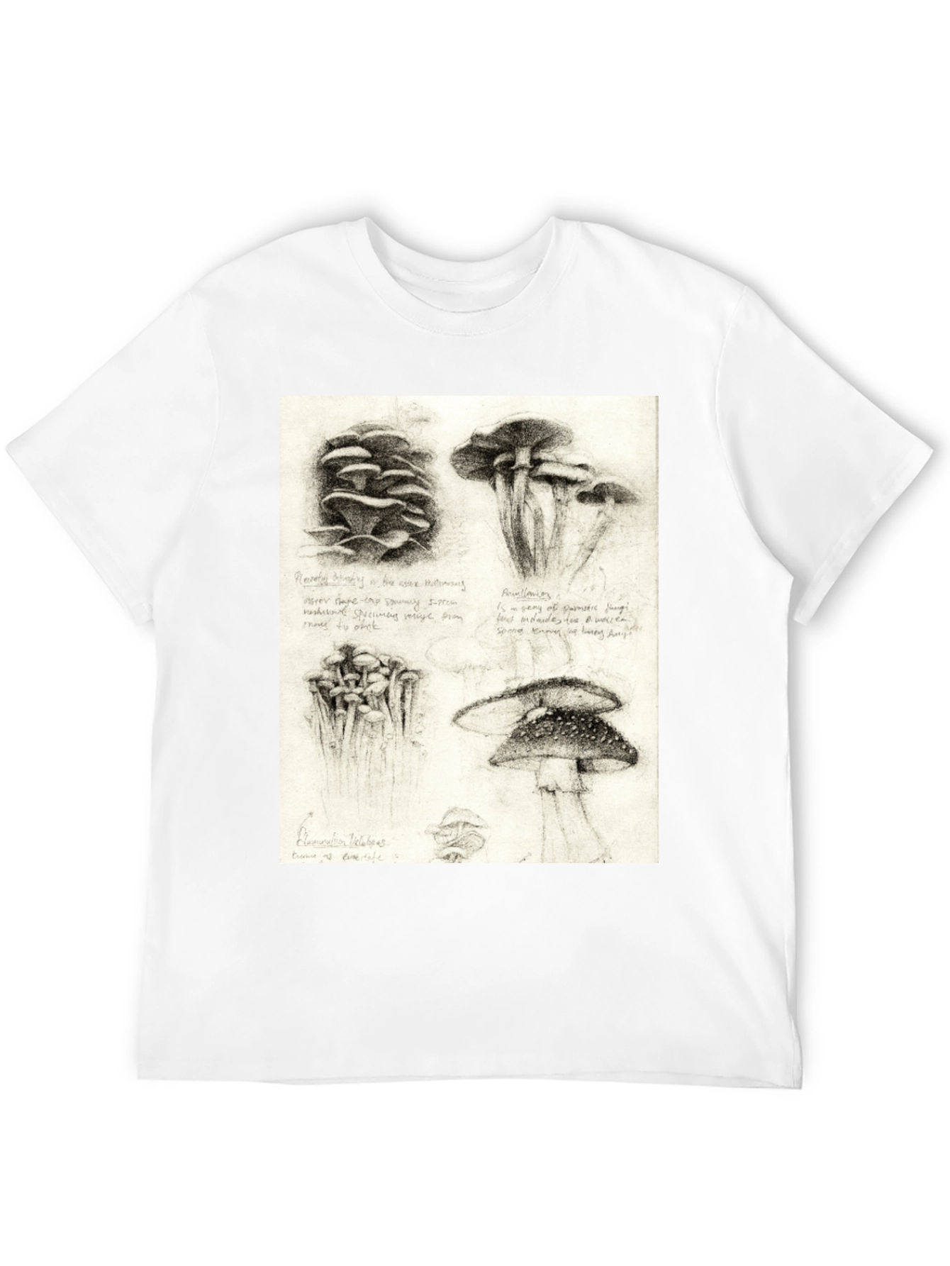 Black Mushroom Sketch Art T-Shirt - Nature Inspired Tee view 12