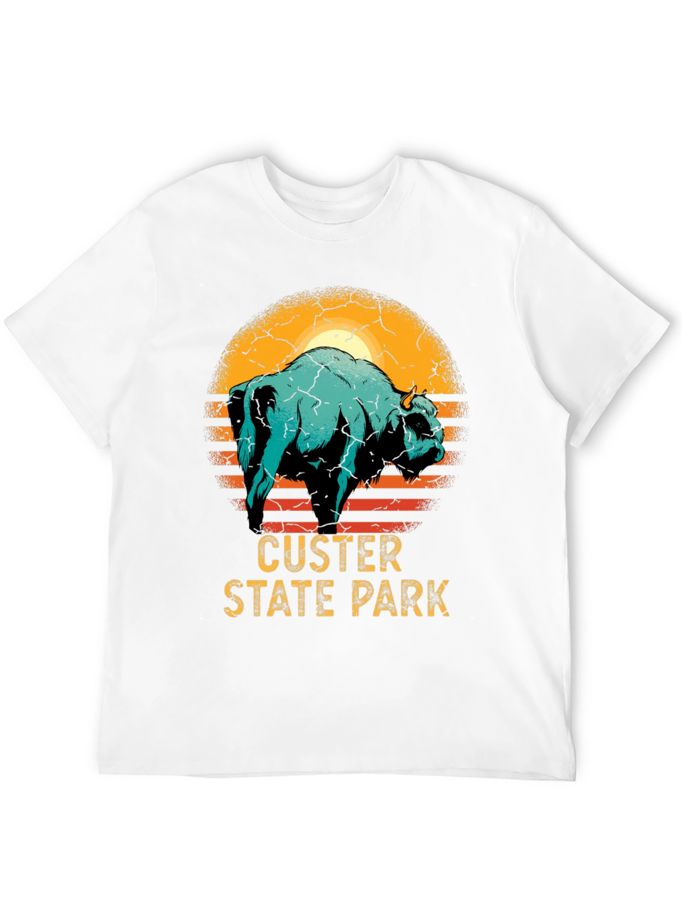 Black Custer State Park Bison Graphic T-Shirt view 12