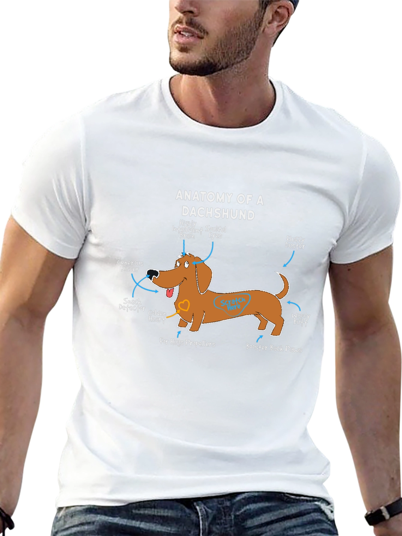 Black Anatomy of a Dachshund Funny Dog T-Shirt view 13