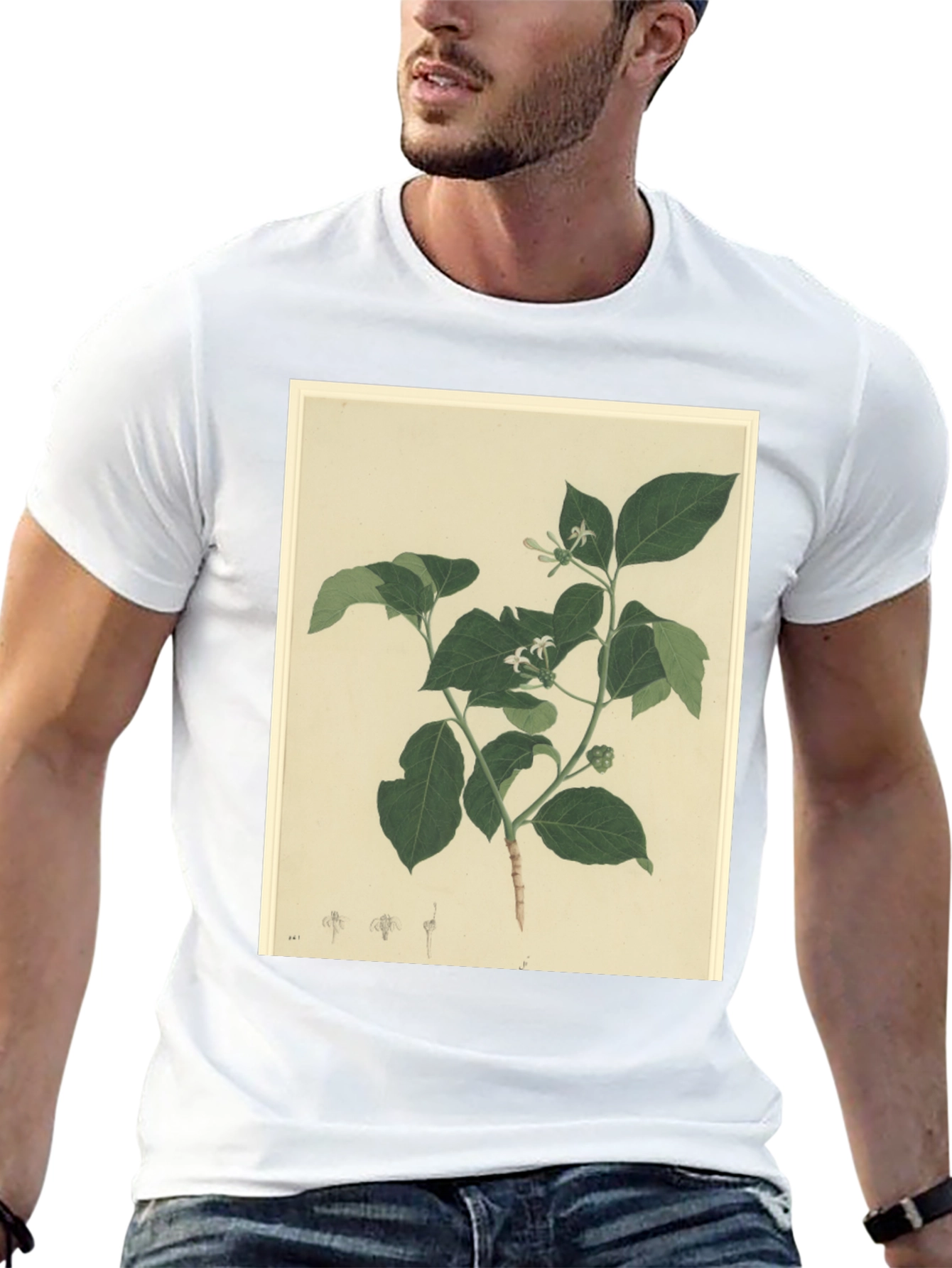 Black Botanical Print Black T-Shirt view 13