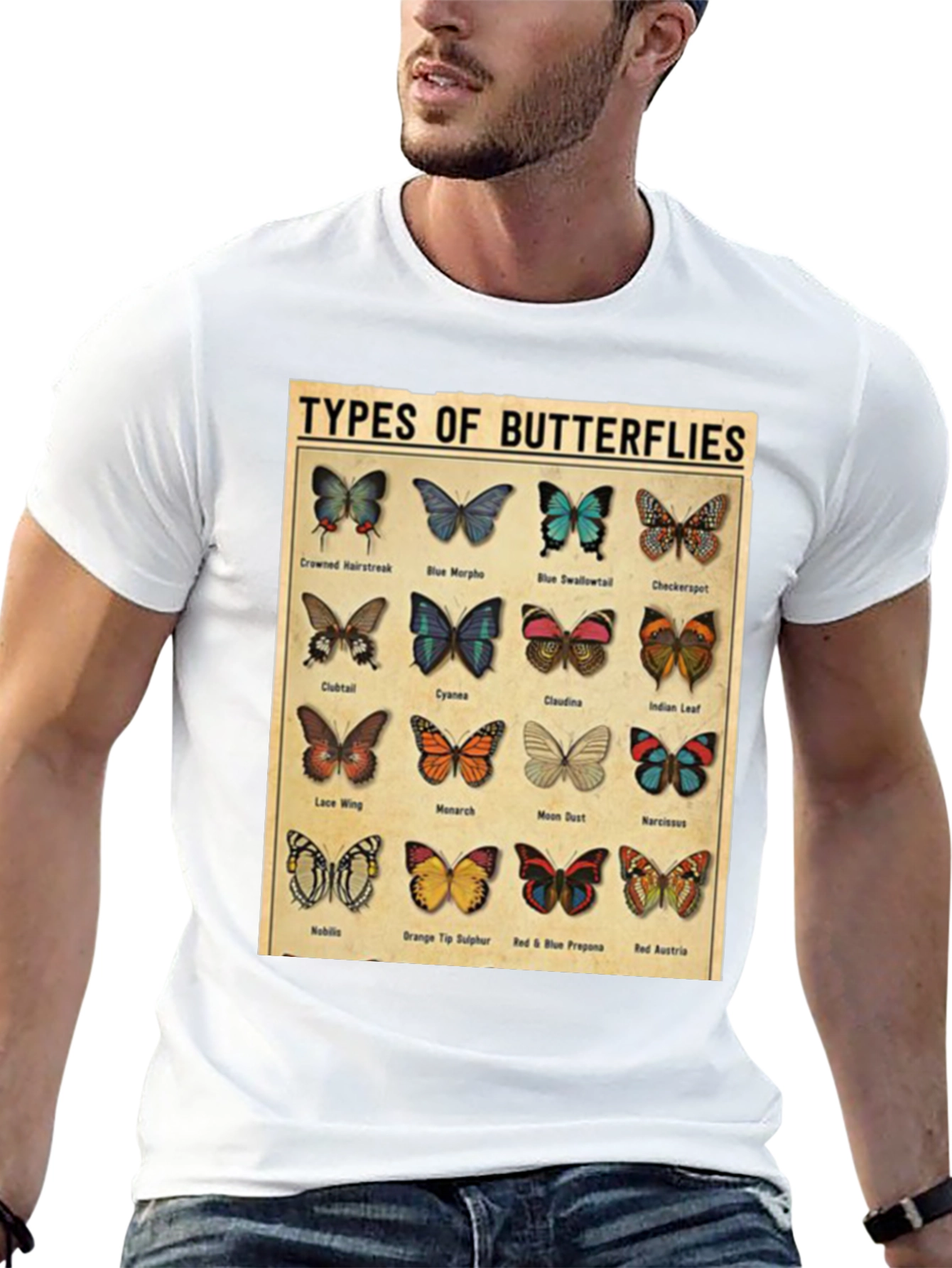 Black Butterfly Types Graphic T-Shirt view 13