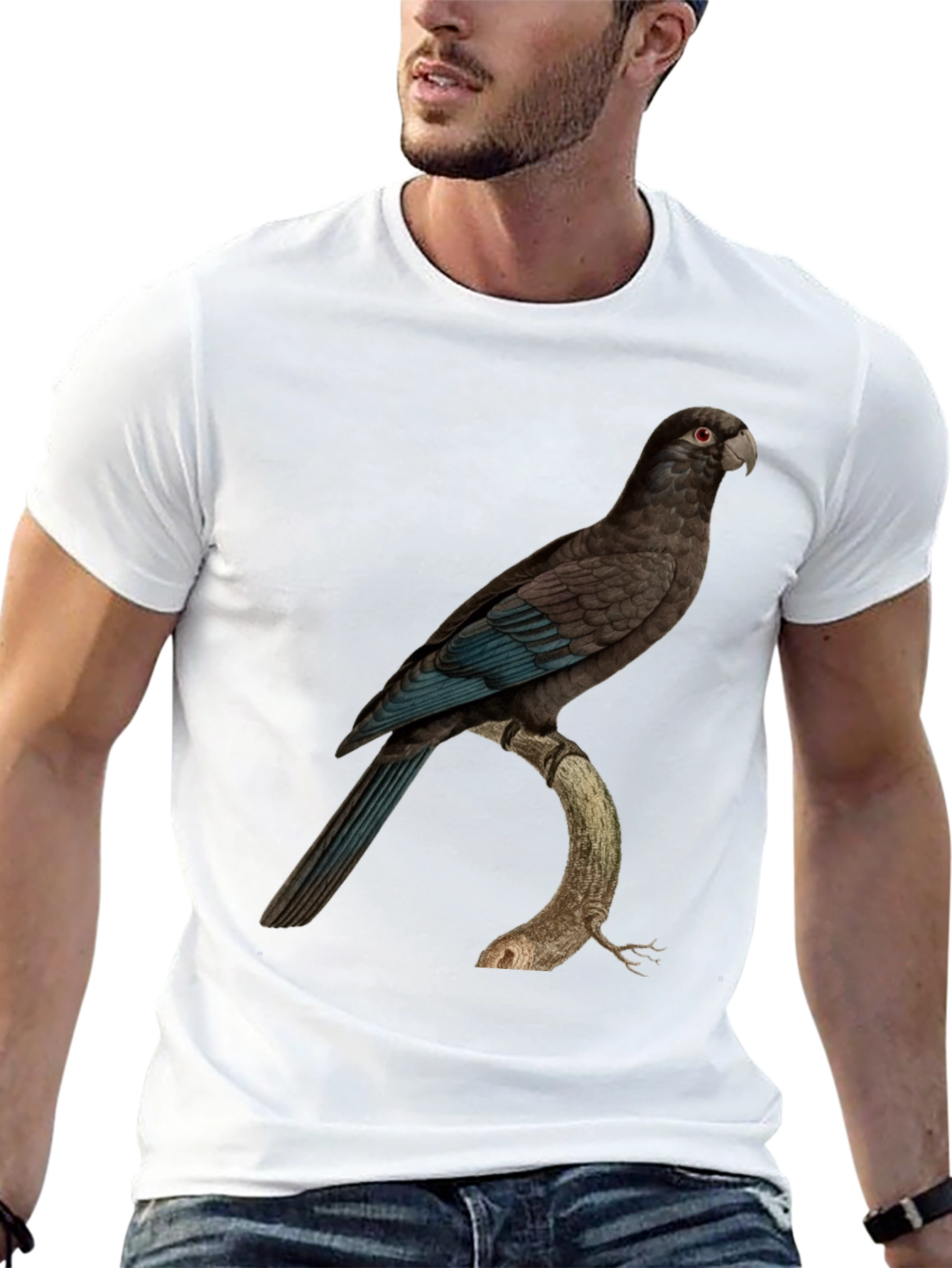 Black Parrot Graphic Print Black T-Shirt view 13