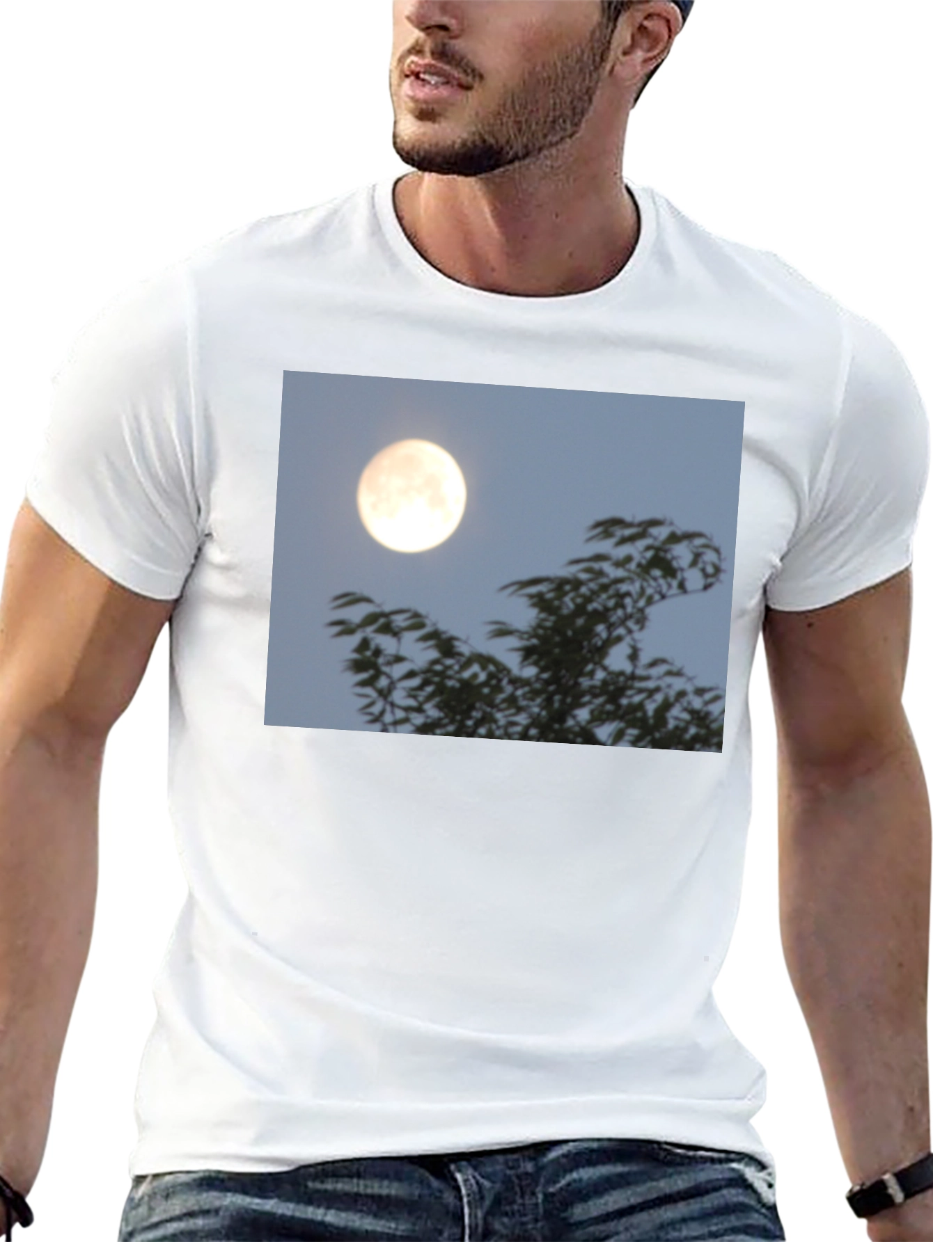 Black Moonlit Trees Graphic Tee - Black Cotton T-Shirt view 13