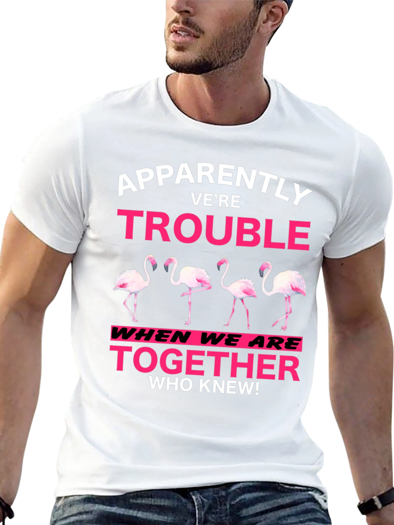Black Funny Flamingo Trouble Graphic T-Shirt view 13