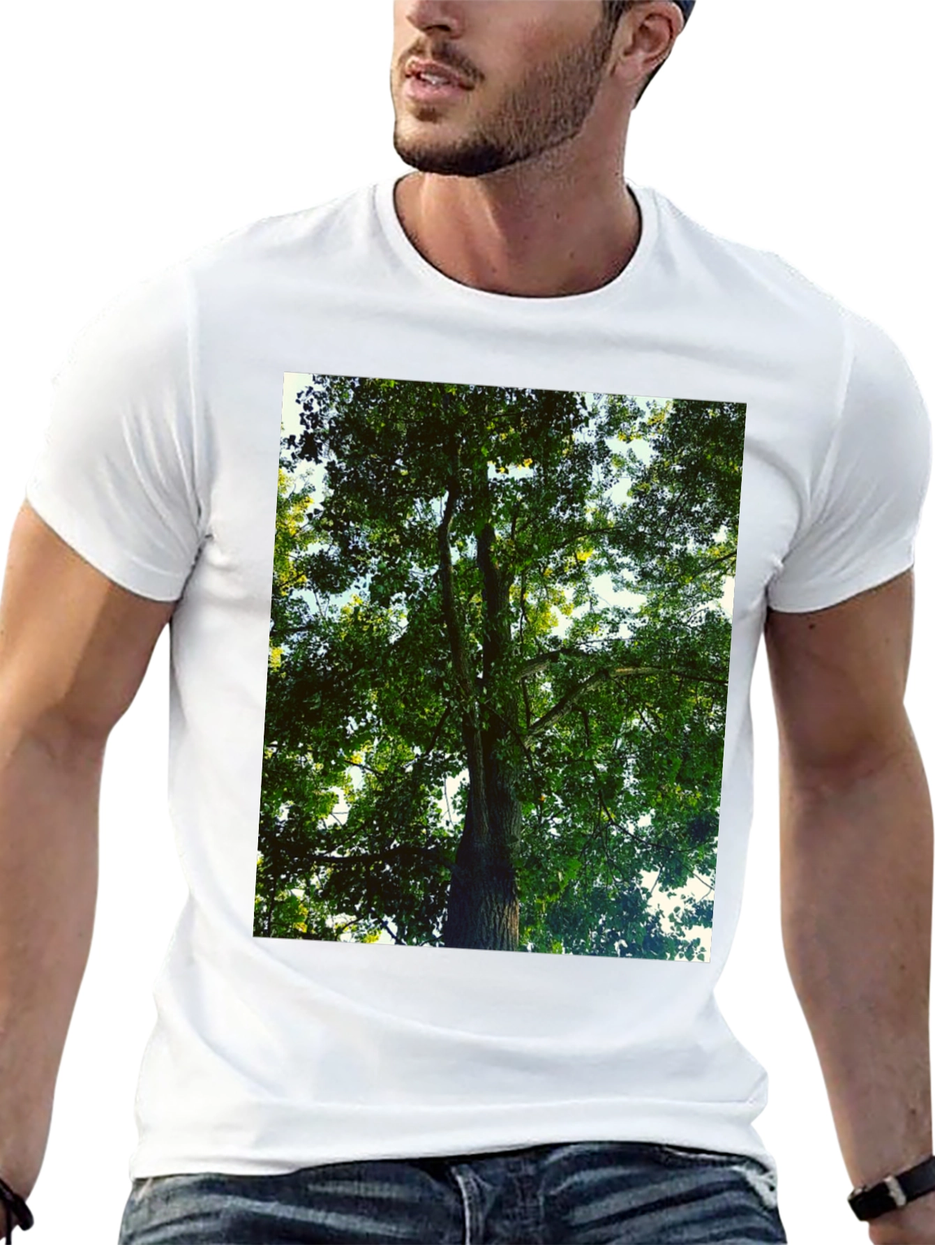 Black Nature Tree Graphic Tee - Black Cotton T-Shirt view 13