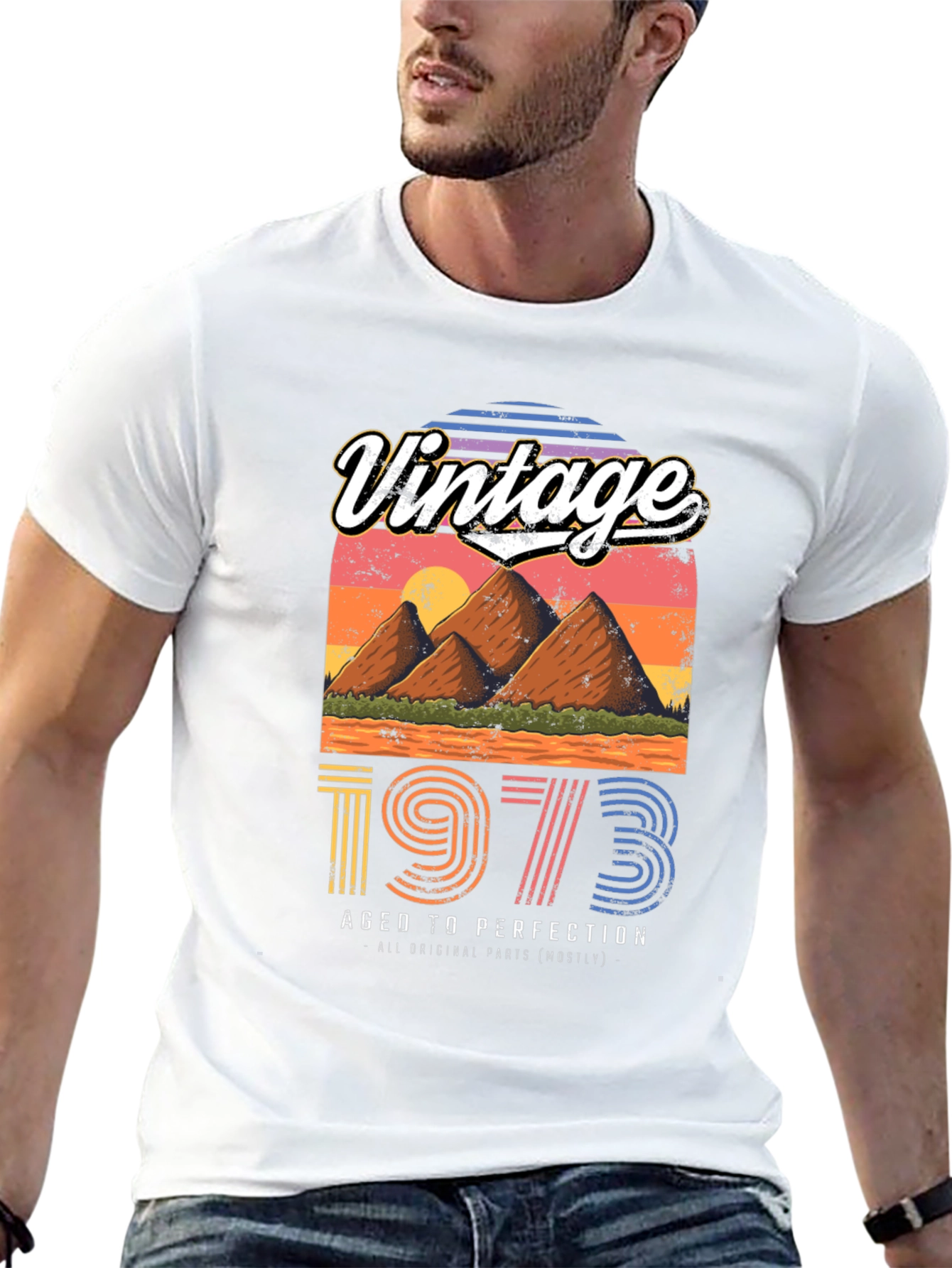 Black Vintage 1973 Aged to Perfection Graphic Tee view 13
