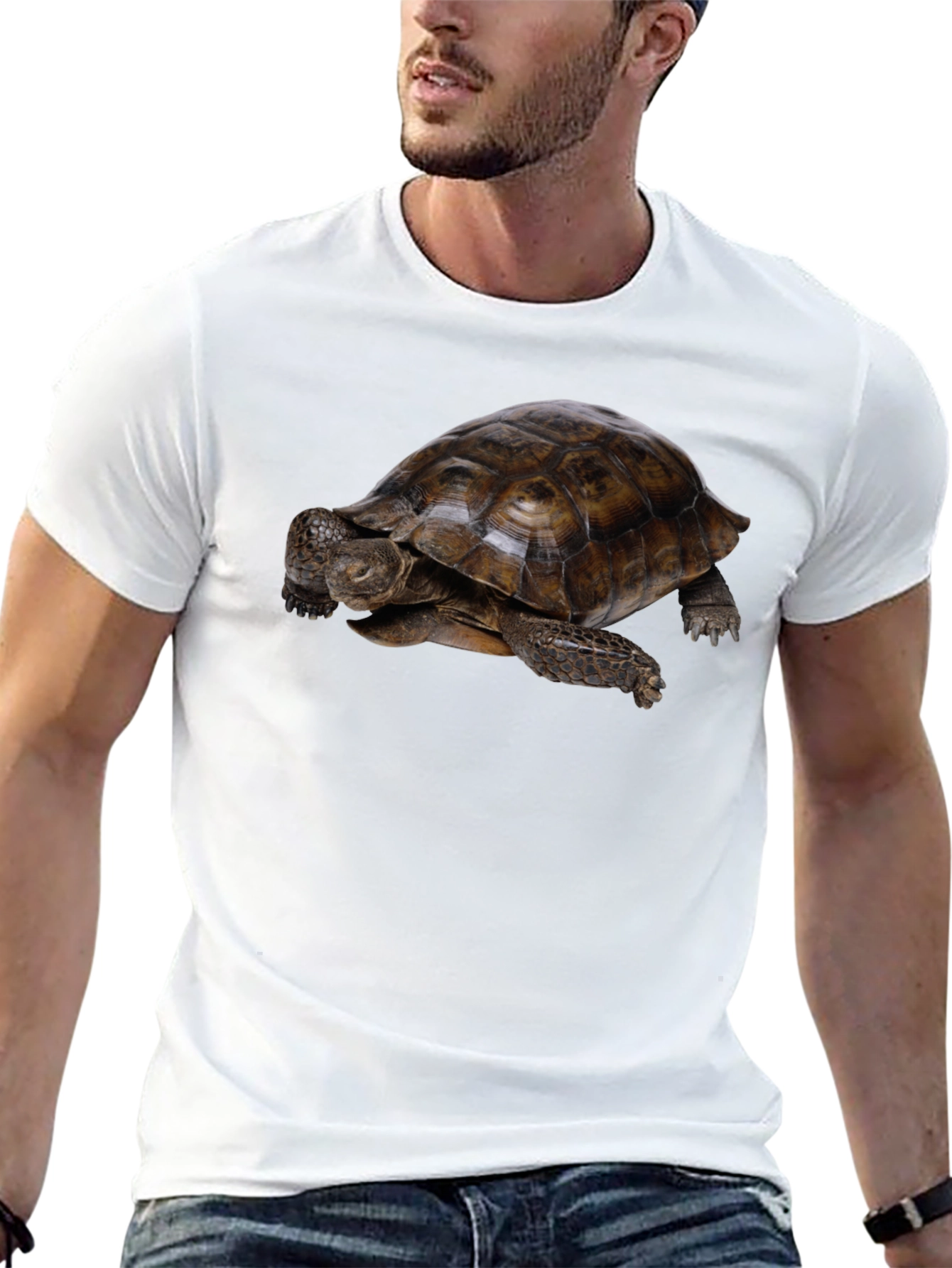 Black Tortoise Graphic Black T-Shirt view 13