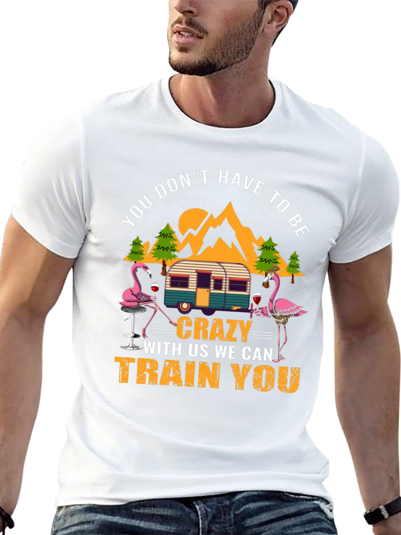 Black Flamingo Camper T-Shirt: You Don't Have to Be Crazy! view 13