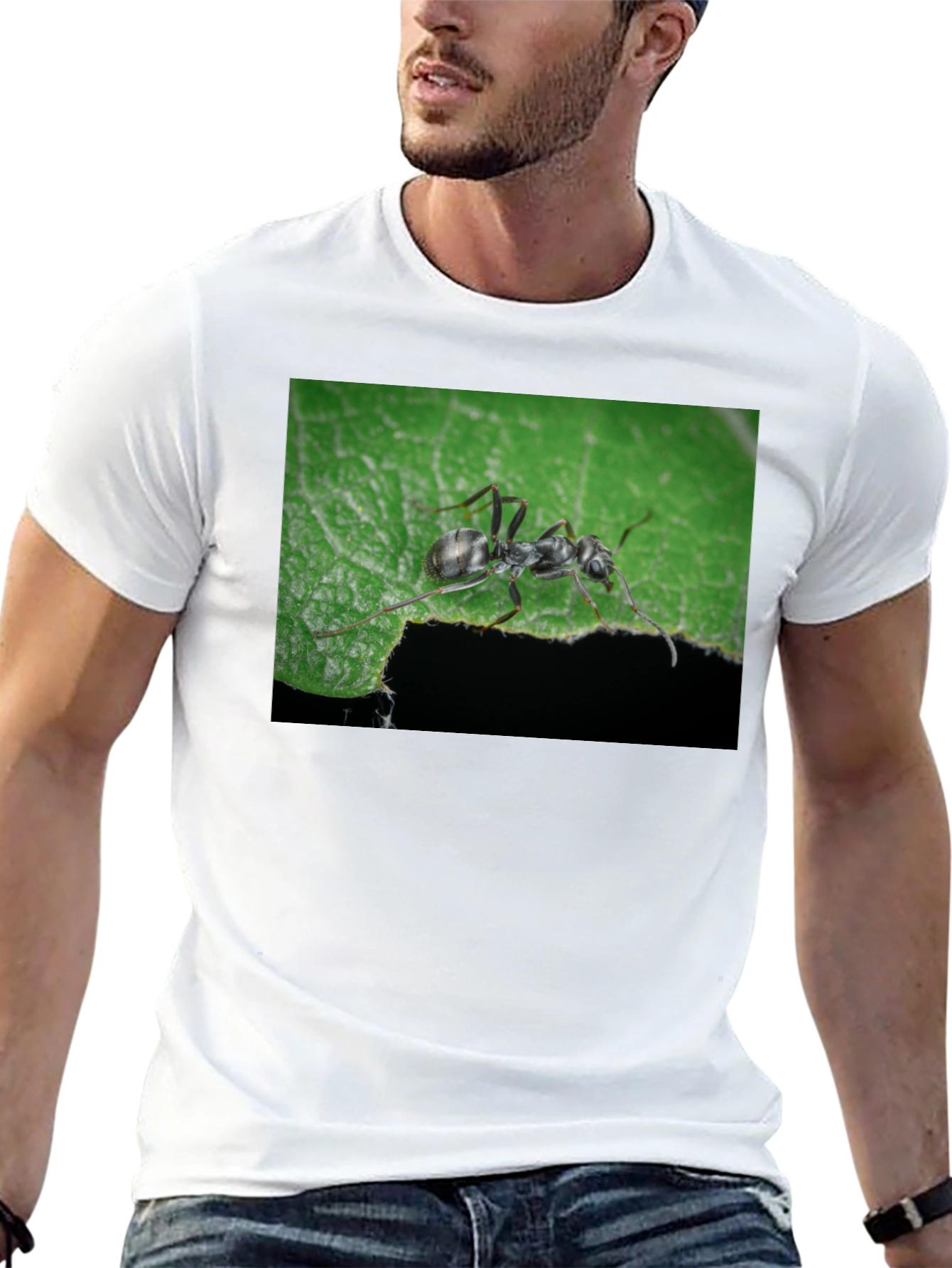 Black Ant on Leaf Graphic Tee - Nature Lover's T-Shirt view 13
