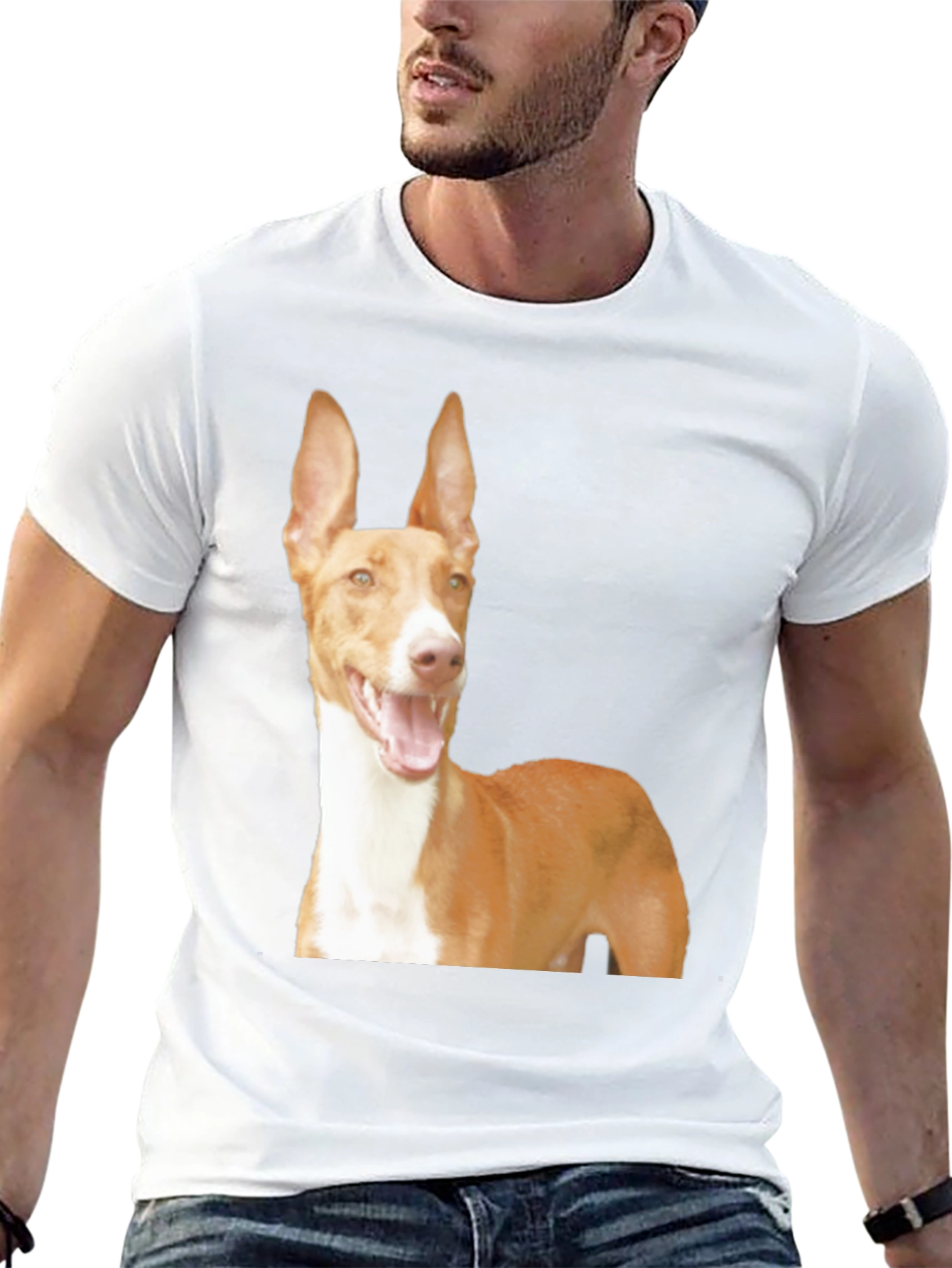 Black Dog Breed Graphic Tee - Ibizan Hound on Black Shirt view 13