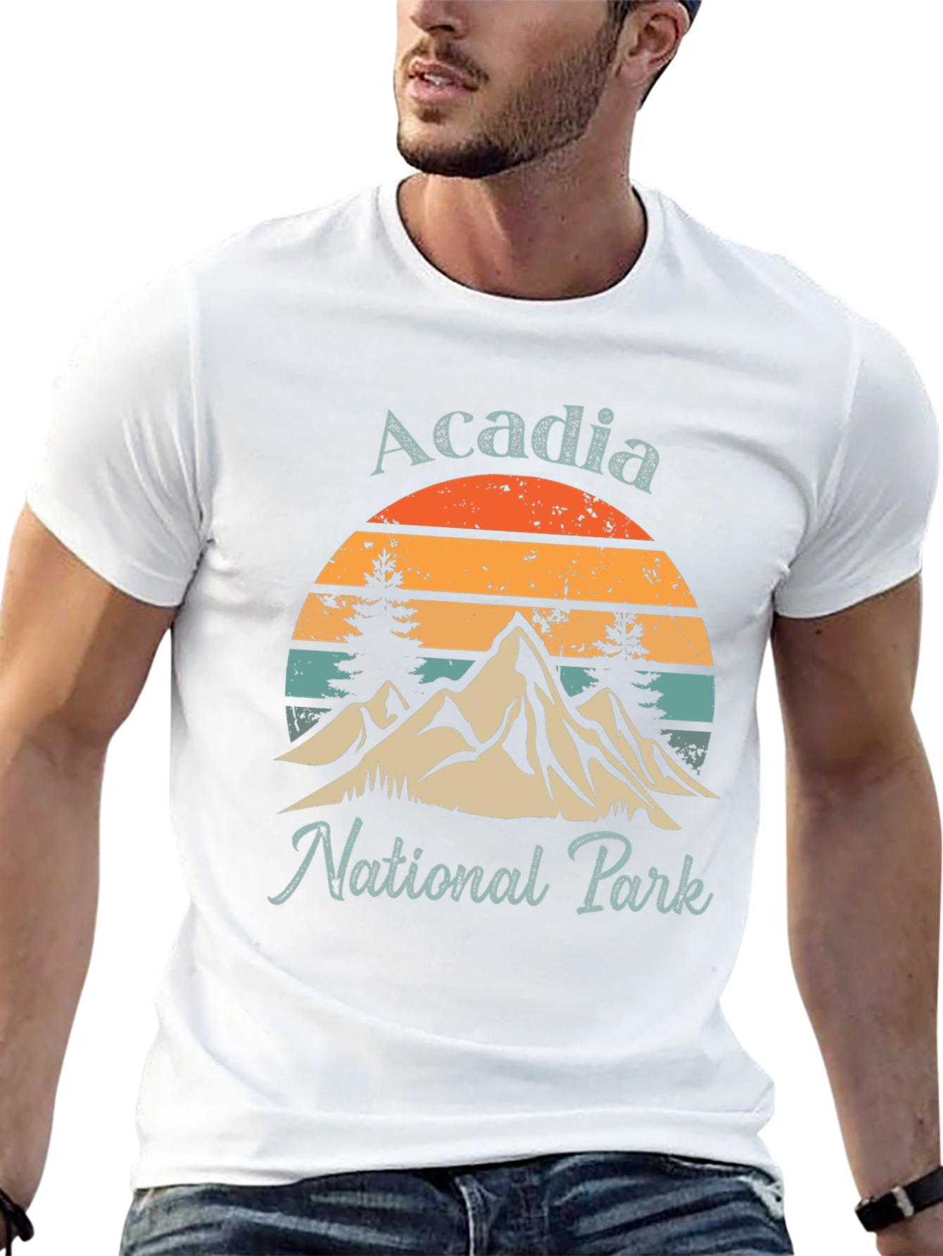 Black Acadia National Park Graphic Tee - Retro Mountain Design view 13