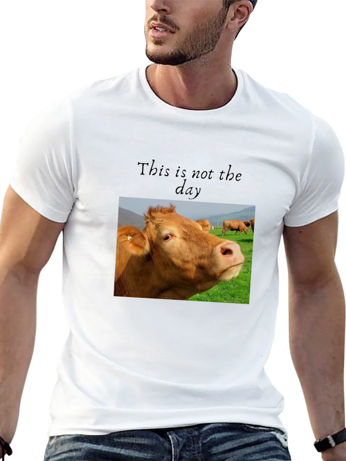 Black Cow Graphic T-Shirt - "This is not the day" view 13