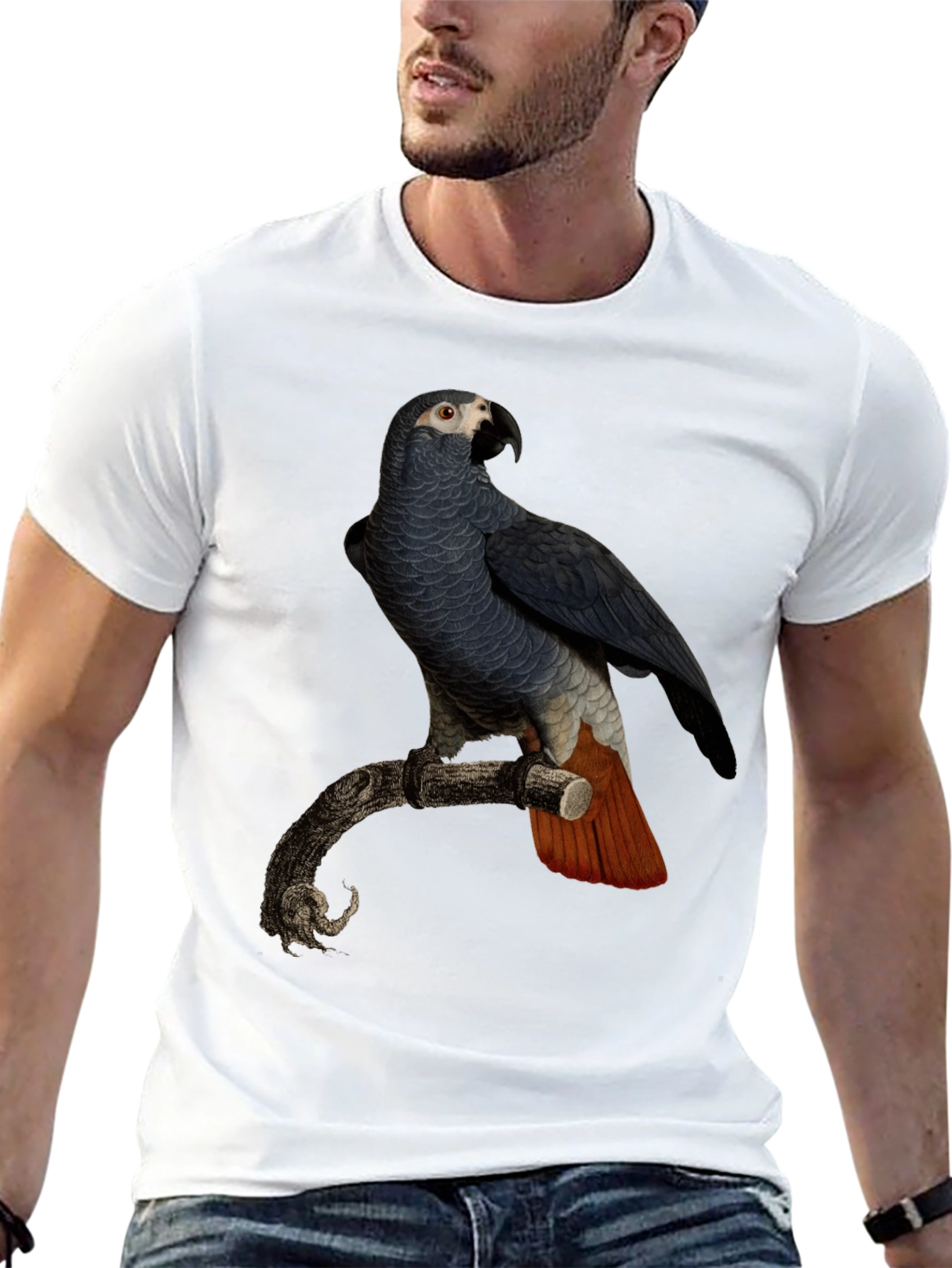 Black Parrot Graphic T-Shirt - Men's Black Tee view 13