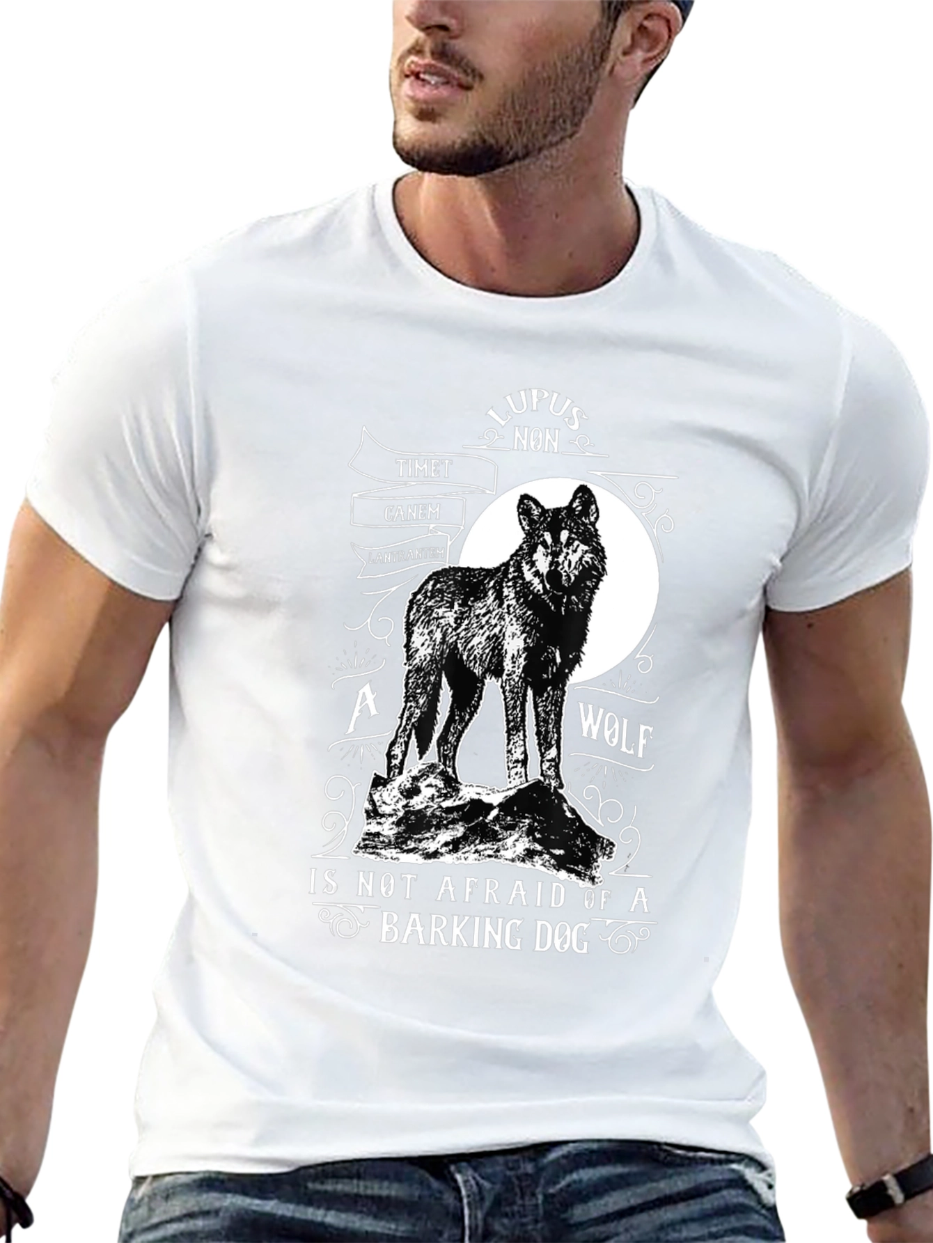 Black Wolf Graphic Tee - Lupus Non Timet Canem - Black Cotton view 13