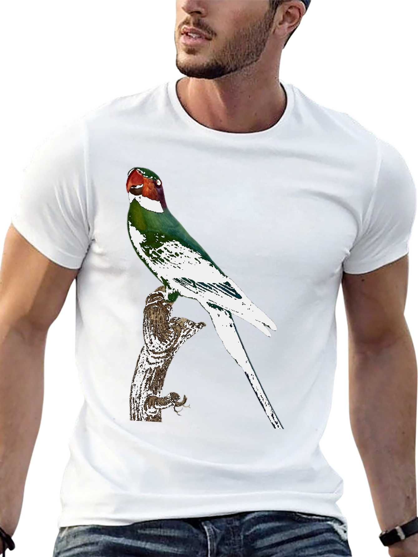 Black Parrot Graphic Tee - Black Cotton T-Shirt view 13