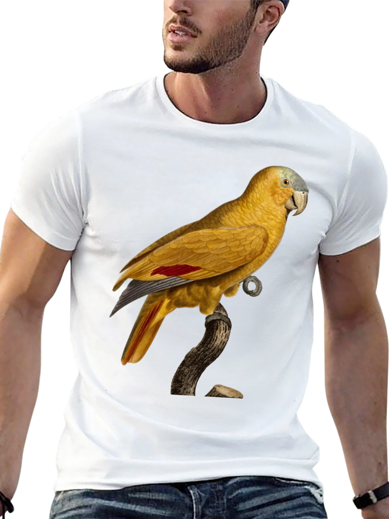 Black Parrot Graphic Black T-Shirt view 13