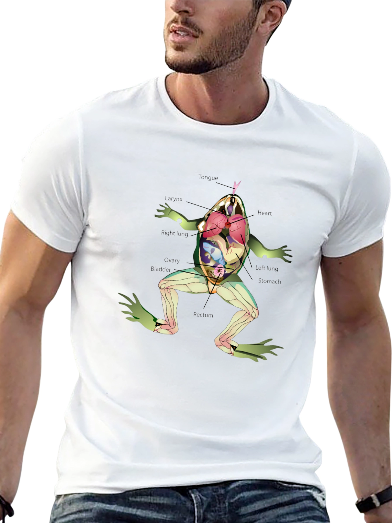Black Anatomy Frog T-Shirt view 13