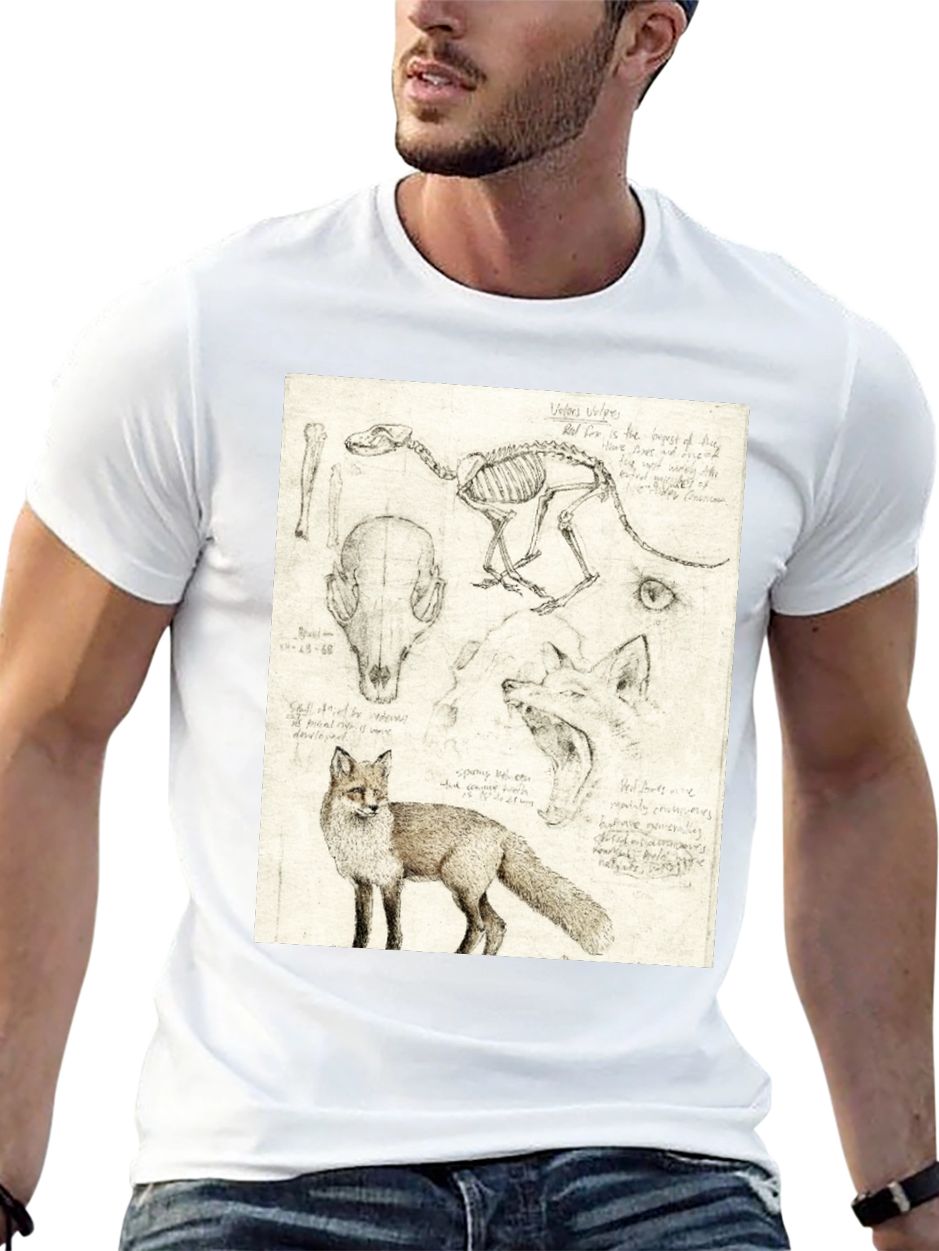 Black Anatomical Fox Print Tee - Artistic Unisex T-Shirt view 13