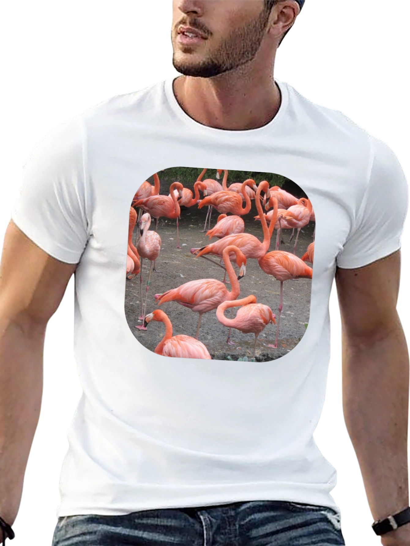 Black Flamingo Graphic Tee - Tropical Bird T-Shirt view 13