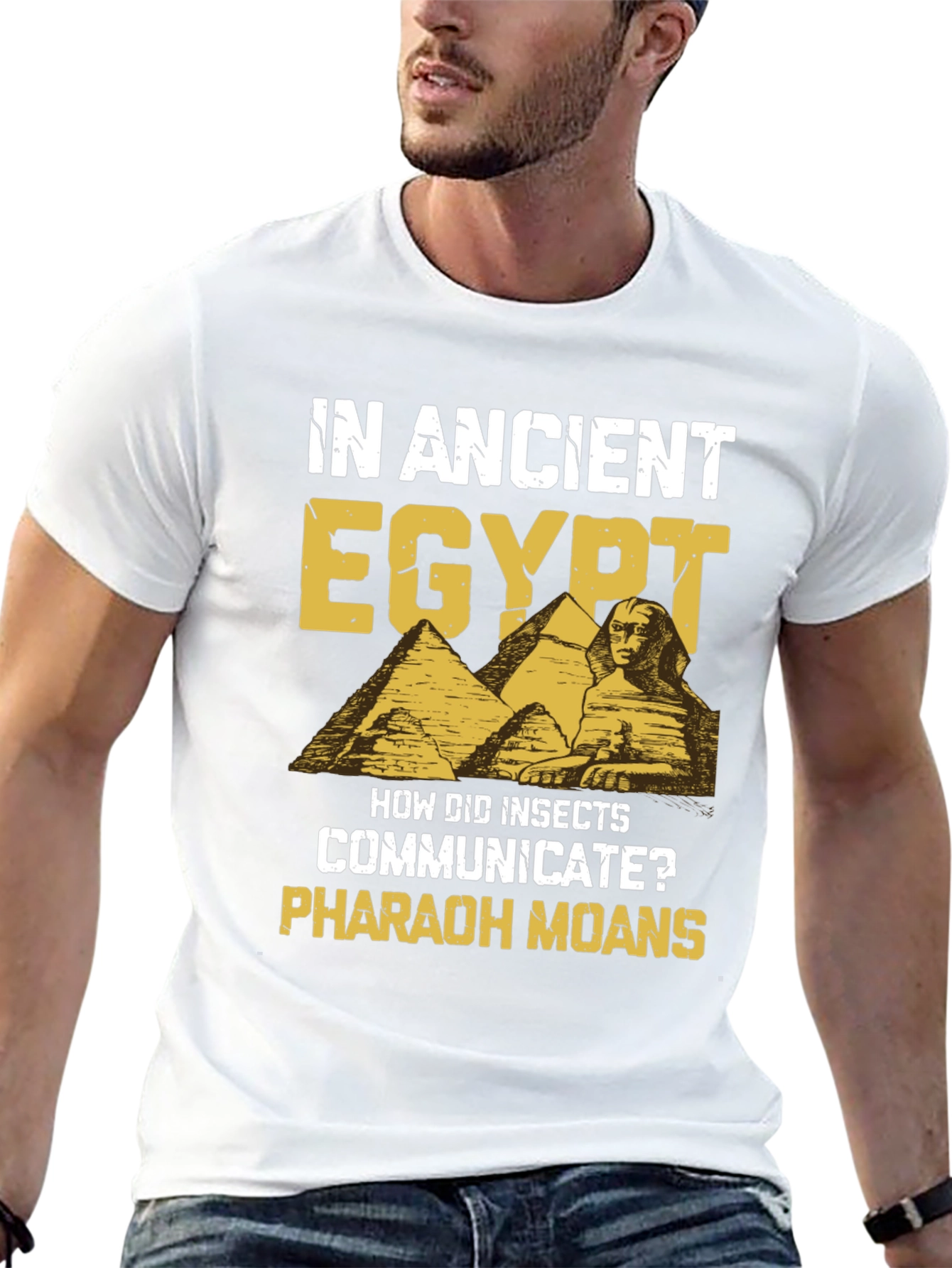 Black Ancient Egypt Pharaoh Moans Humor T-Shirt view 13
