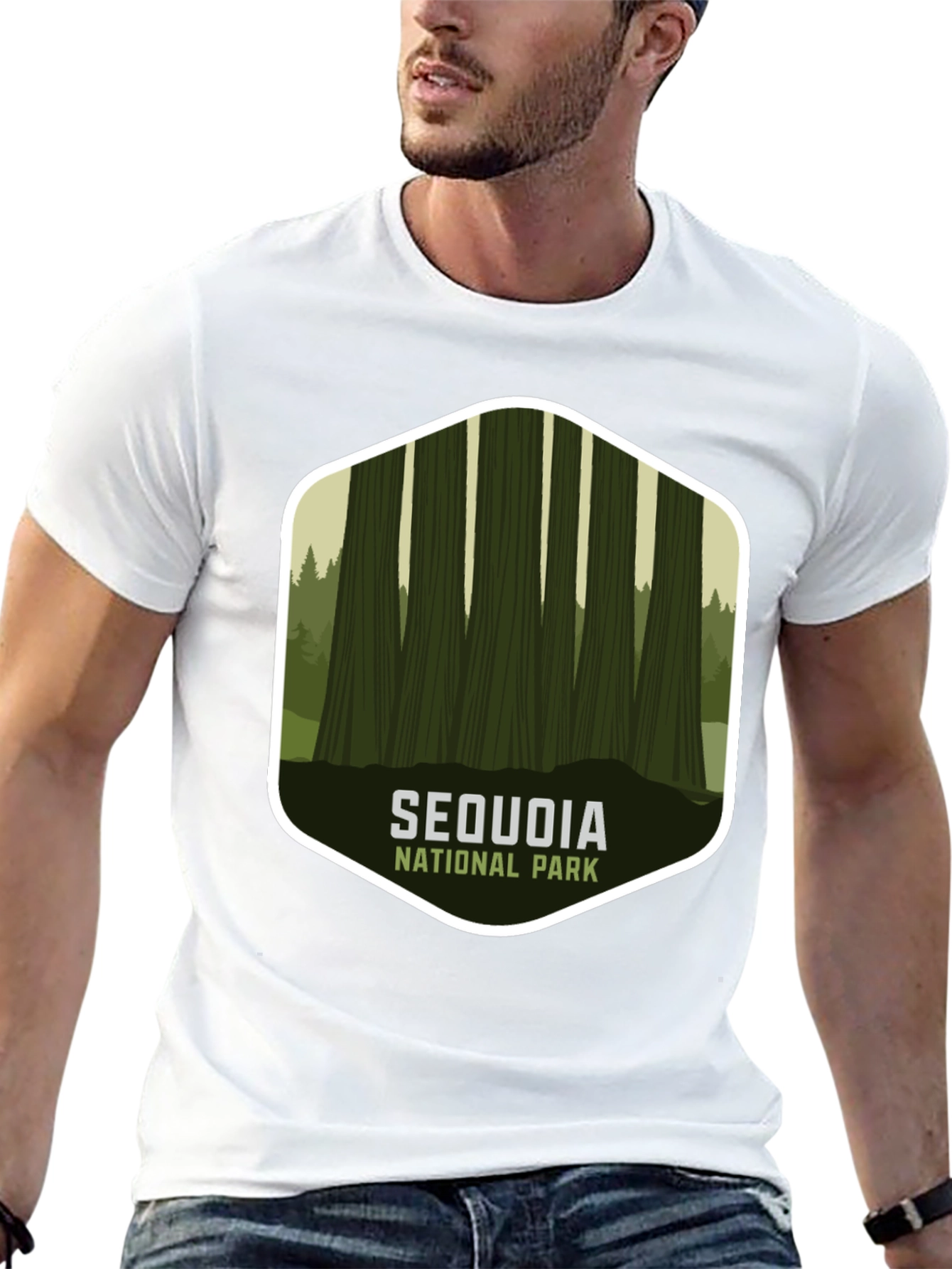 Black Sequoia National Park Graphic Tee - Black view 13
